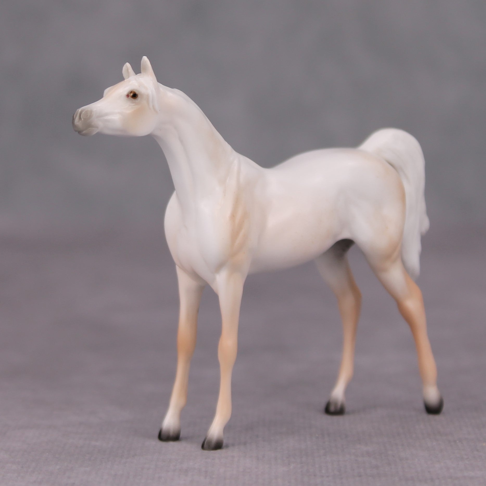 Mike OOAK Fleabittern Grey Arabian Chip By Ellen Robbins MM24