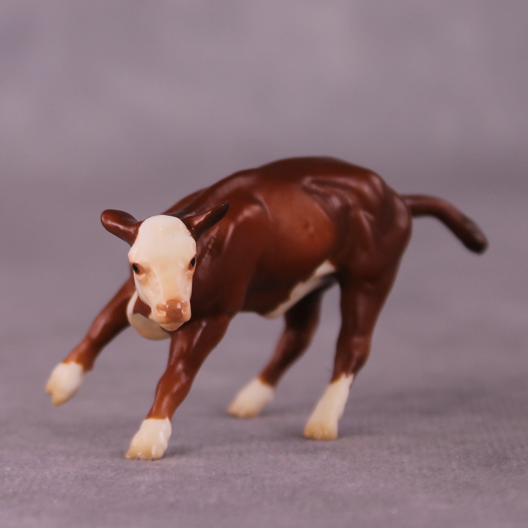 "Clairabelle" OOAK Calf Chip By Jess Hamill - Menagerie Series