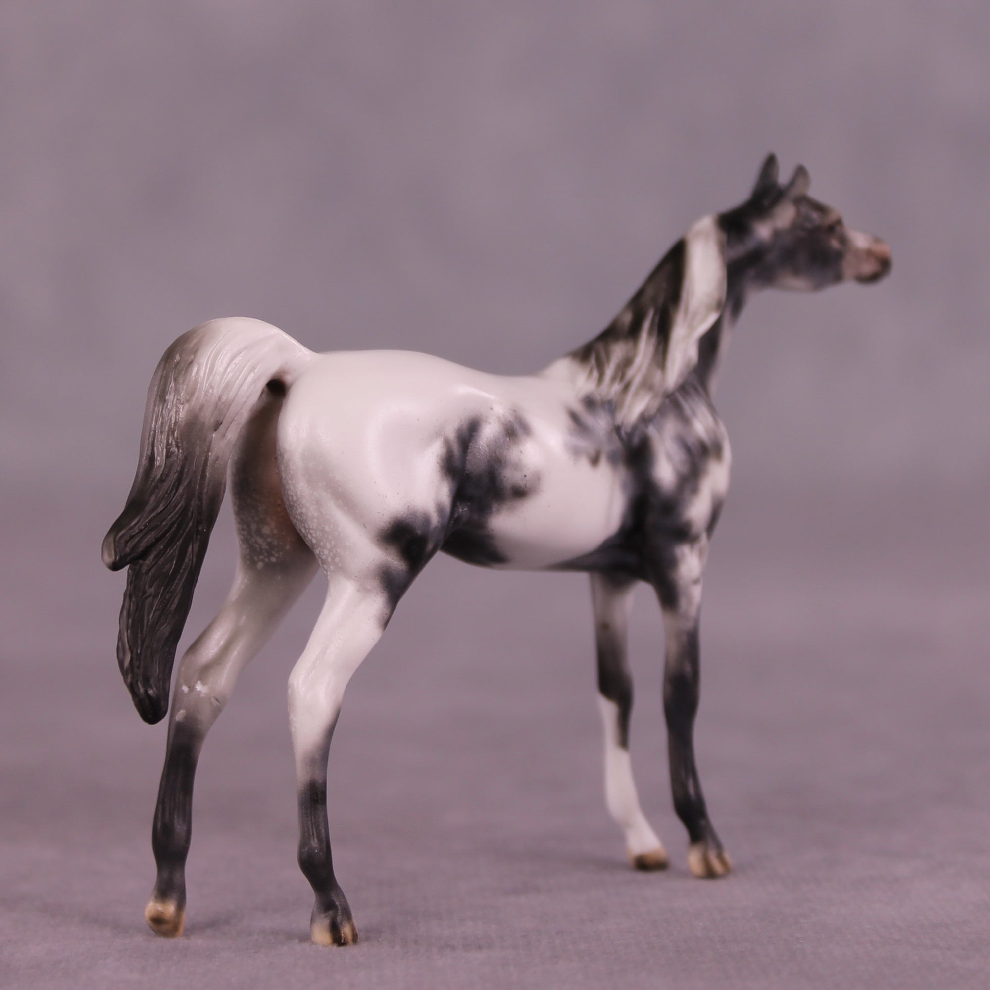 Beckett OOAK Arabian Chip by Dawn Quick LHS25