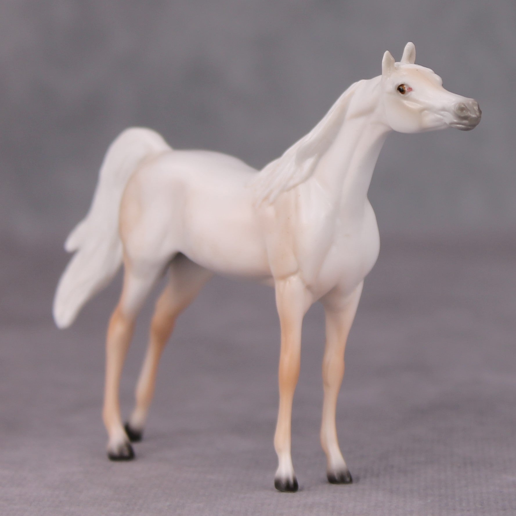 Mike OOAK Fleabittern Grey Arabian Chip By Ellen Robbins MM24