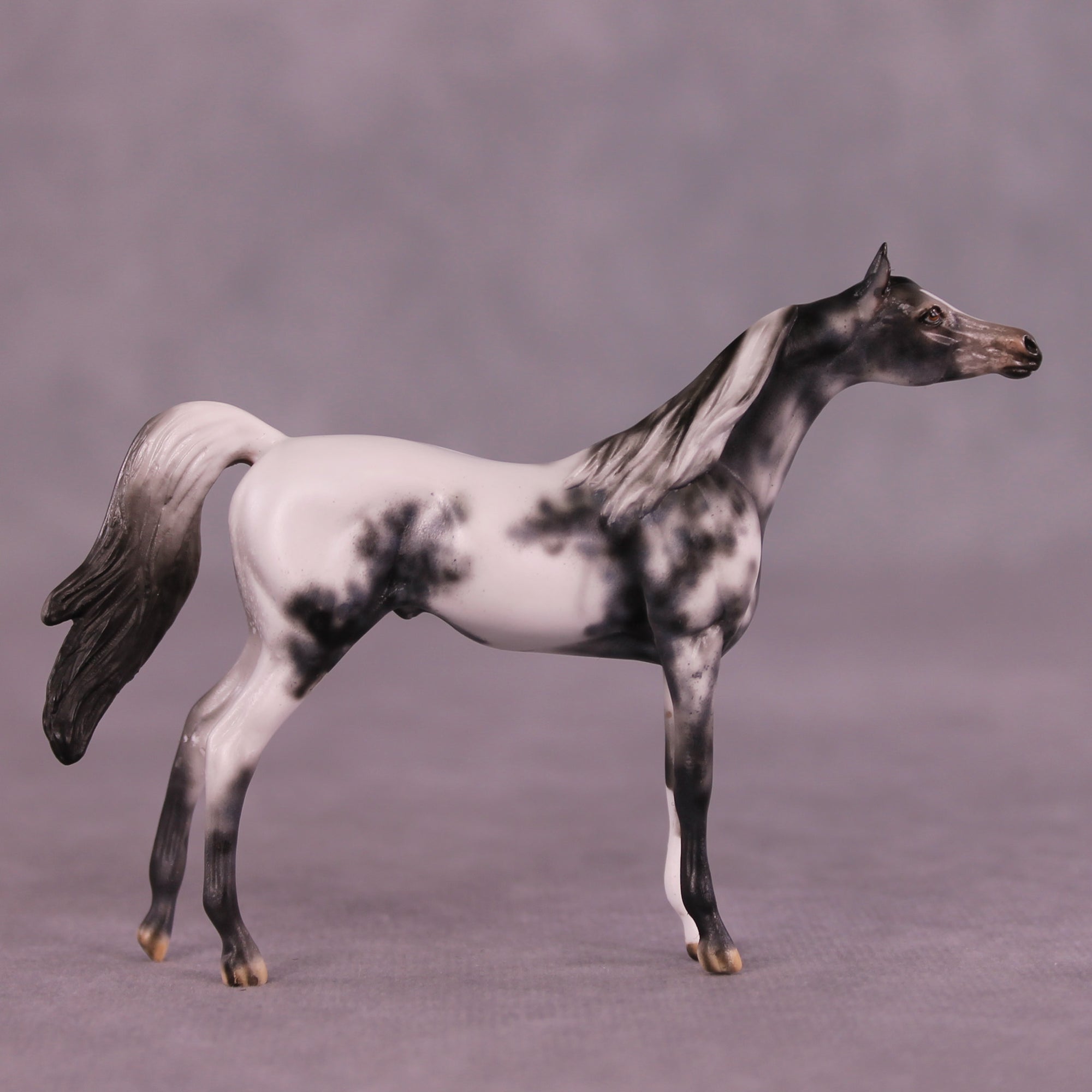 Beckett OOAK Arabian Chip by Dawn Quick LHS25