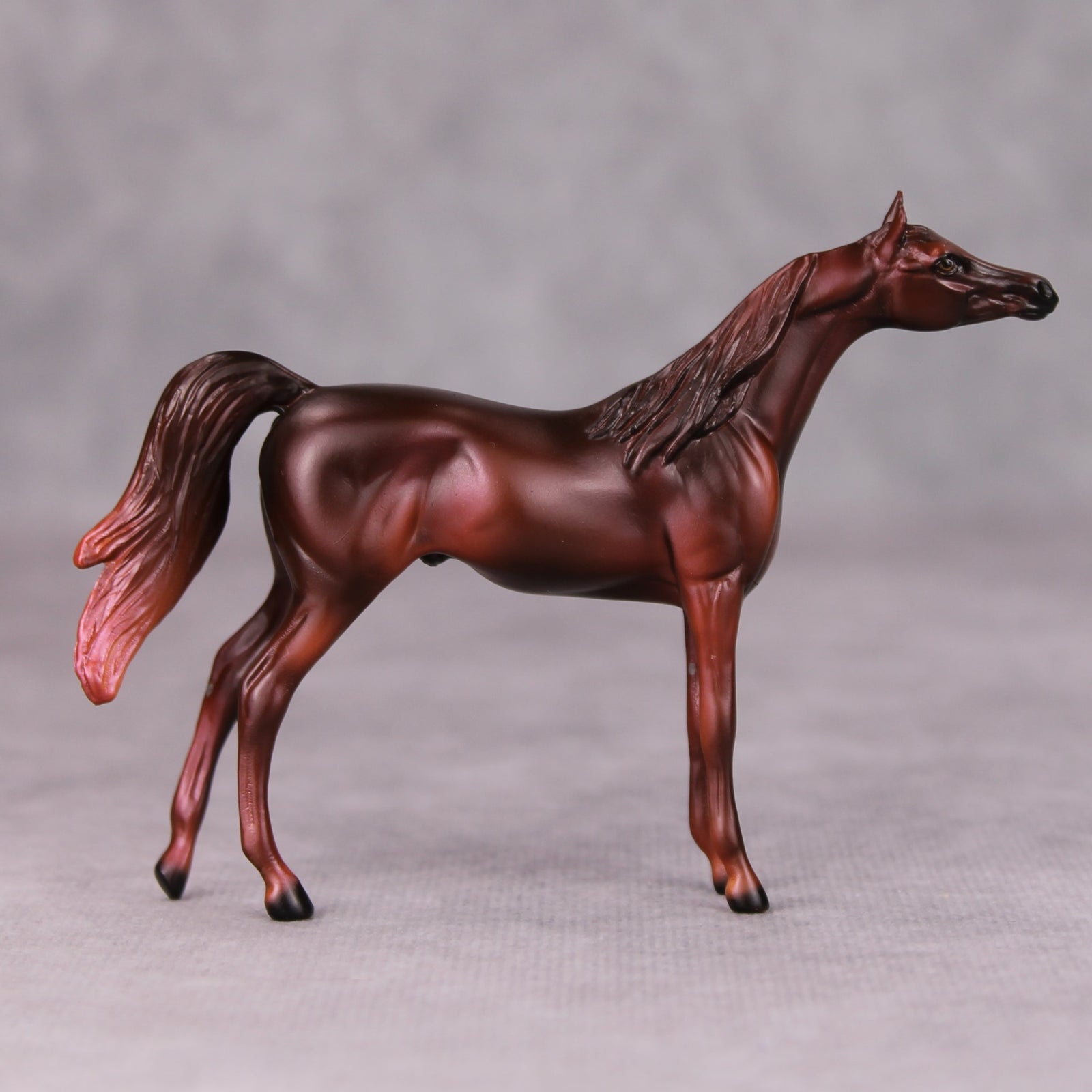 Freddie OOAK Liver Chestnut Arabian Chip By Ellen Robbins MM24
