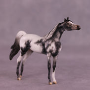 Beckett OOAK Arabian Chip by Dawn Quick LHS25
