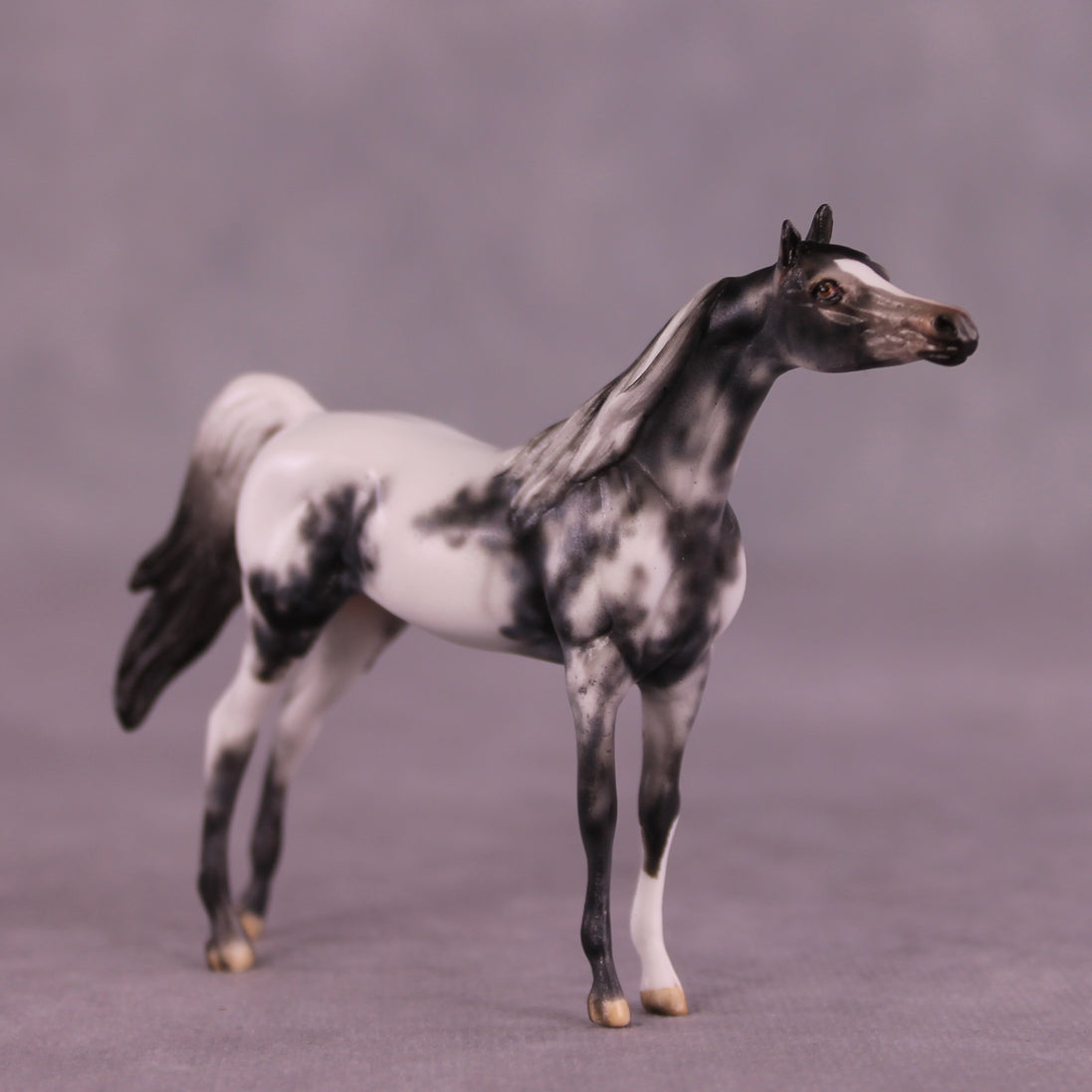 Beckett OOAK Arabian Chip by Dawn Quick LHS25