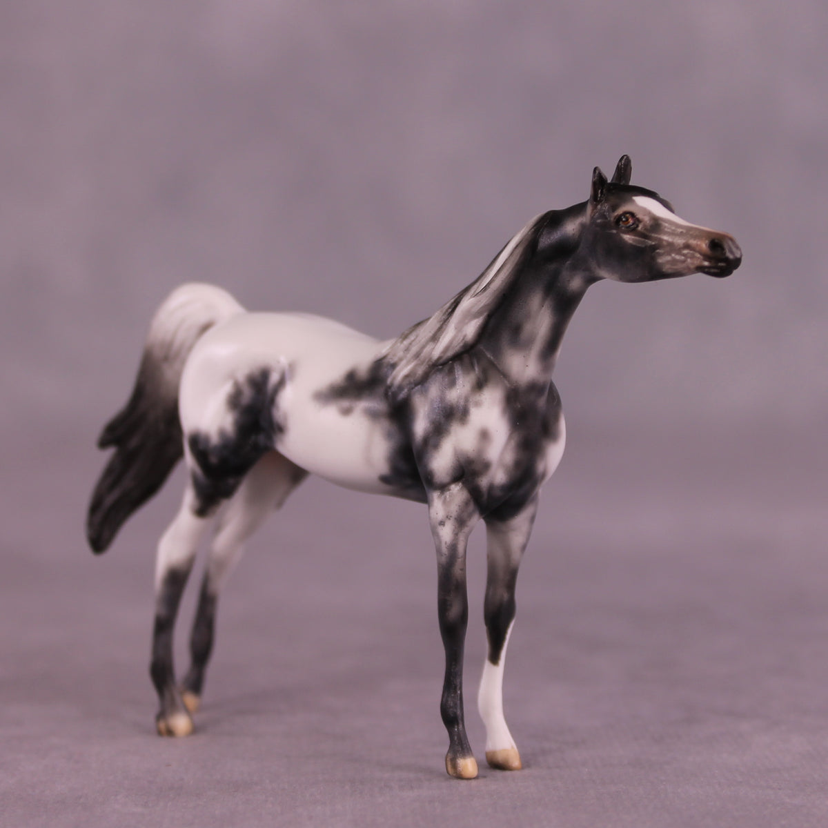 Beckett OOAK Arabian Chip by Dawn Quick LHS25