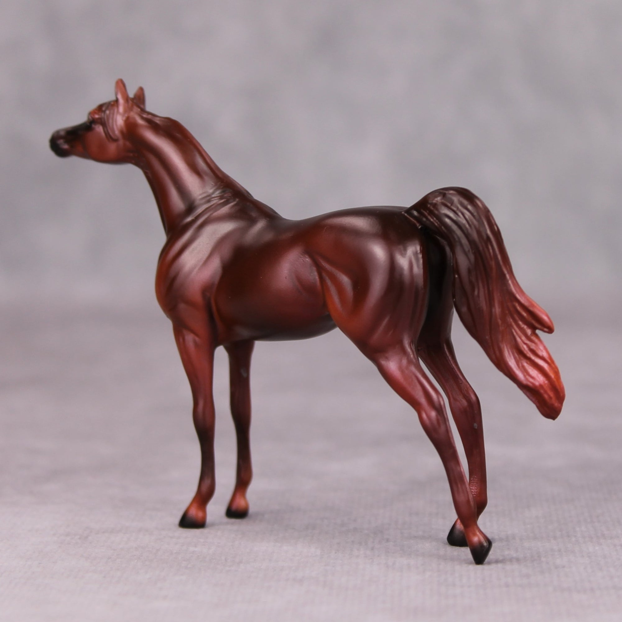 Freddie OOAK Liver Chestnut Arabian Chip By Ellen Robbins MM24