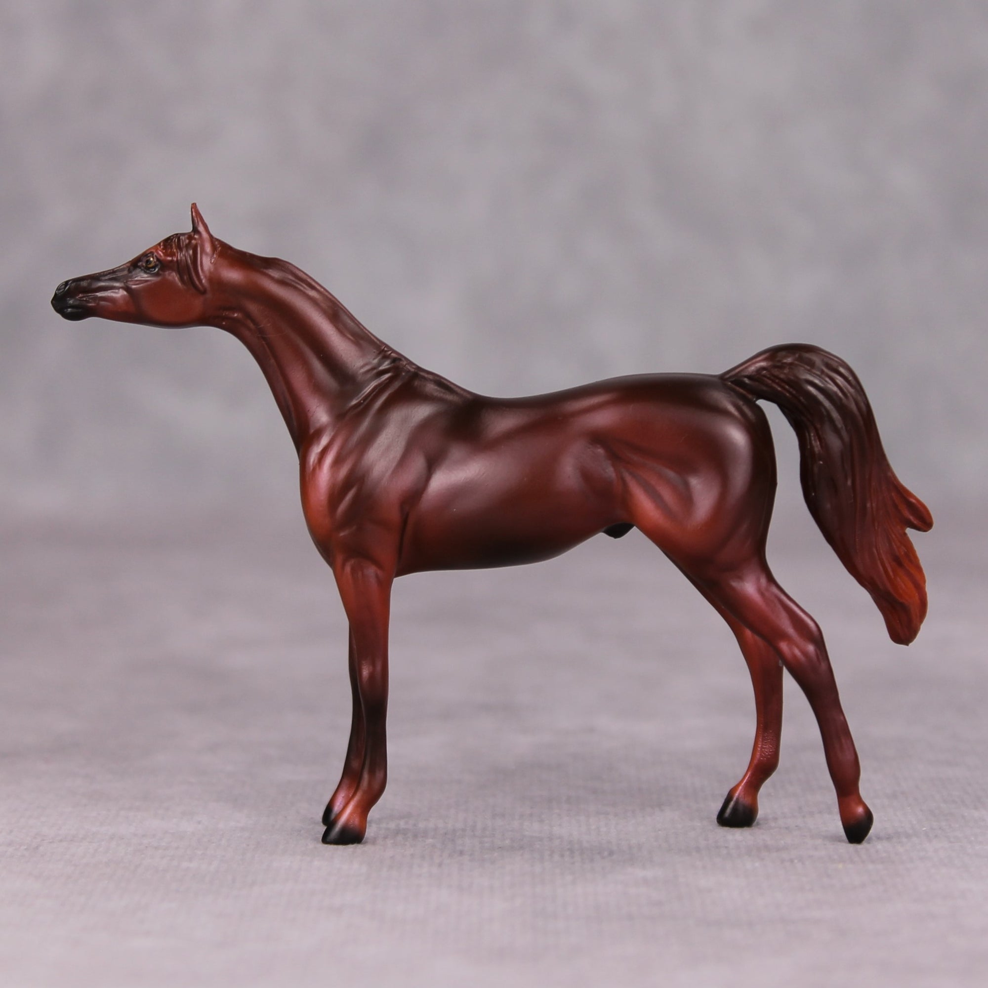 Freddie OOAK Liver Chestnut Arabian Chip By Ellen Robbins MM24