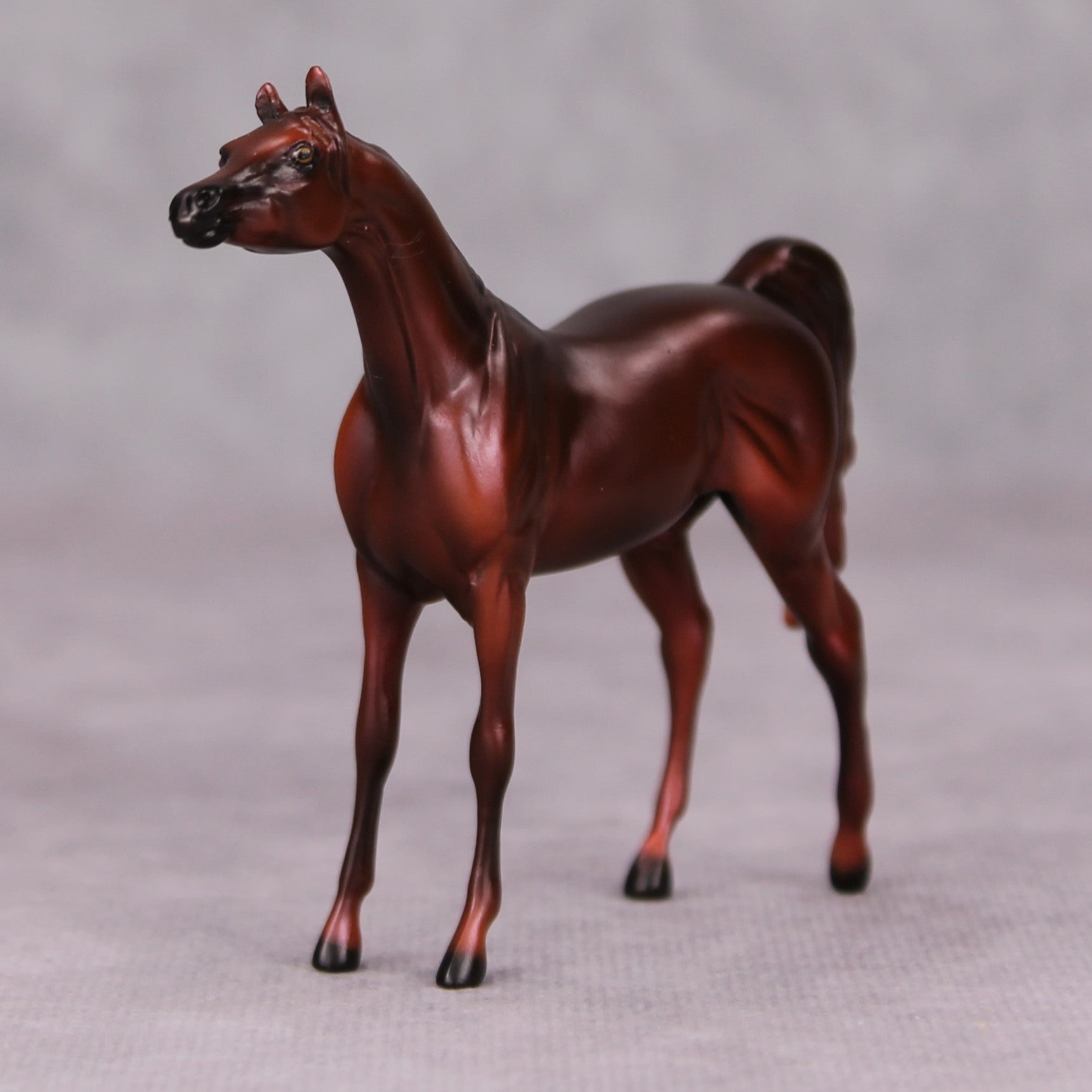 Freddie OOAK Liver Chestnut Arabian Chip By Ellen Robbins MM24