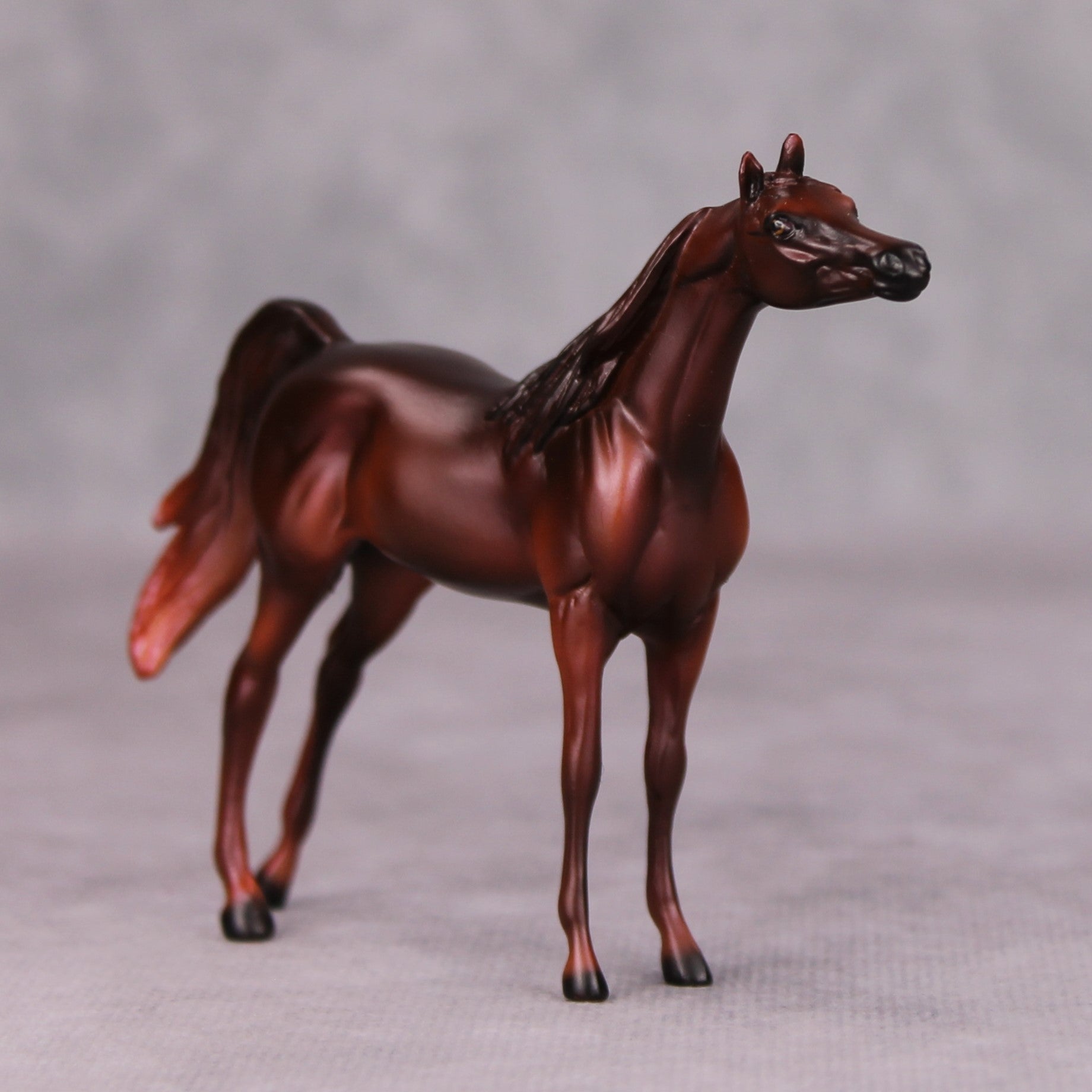 Freddie OOAK Liver Chestnut Arabian Chip By Ellen Robbins MM24