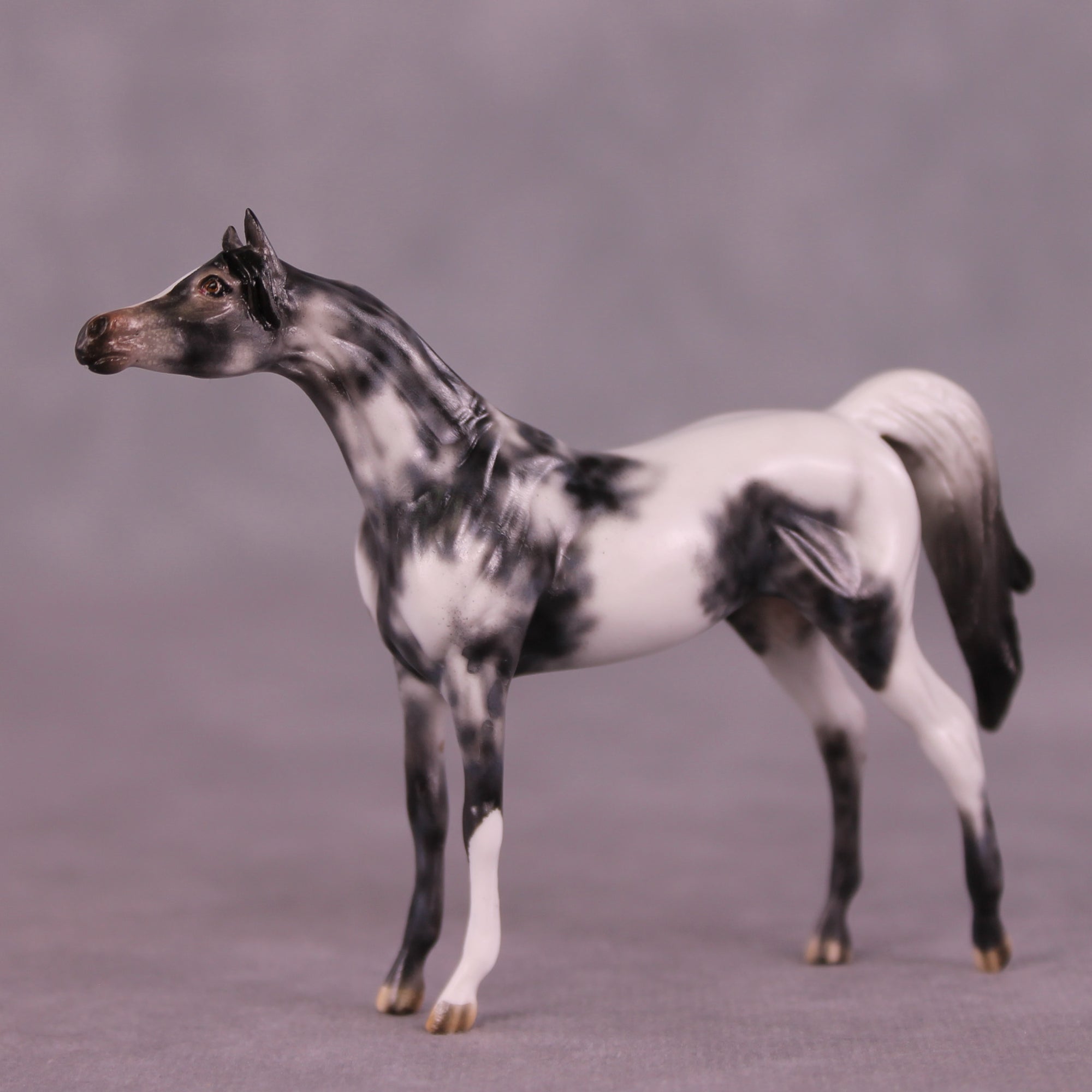 Beckett OOAK Arabian Chip by Dawn Quick LHS25