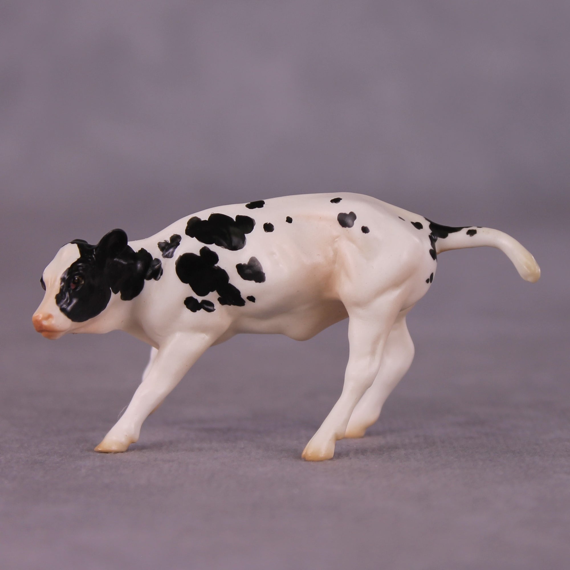 "Ol' Bessie" OOAK Calf Chip By Jess Hamill - Menagerie Series