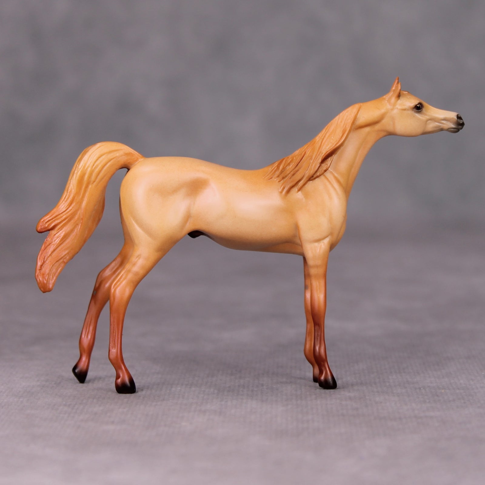 Vince OOAK Red Dun Arabian Chip By Ellen Robbins MM24