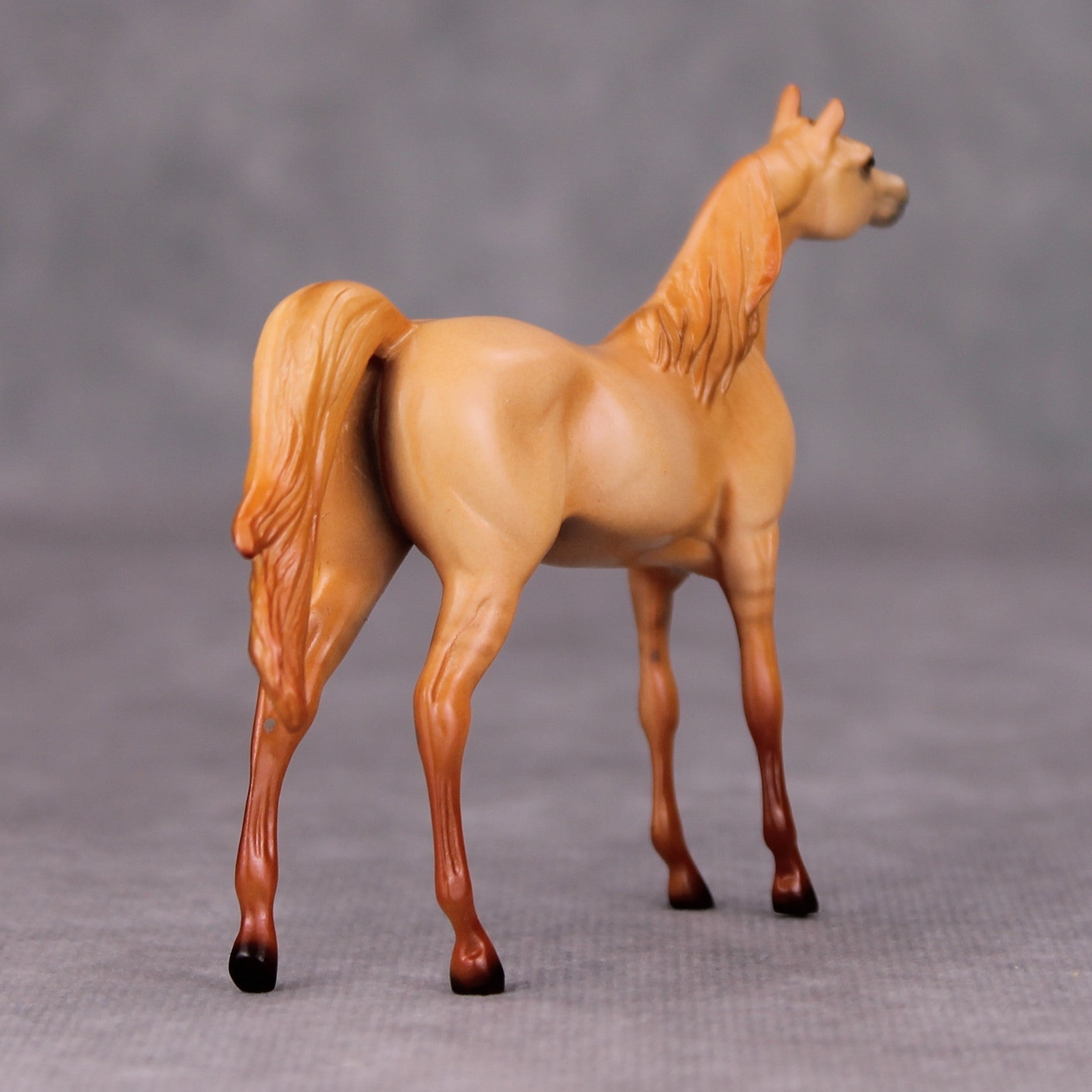 Vince OOAK Red Dun Arabian Chip By Ellen Robbins MM24
