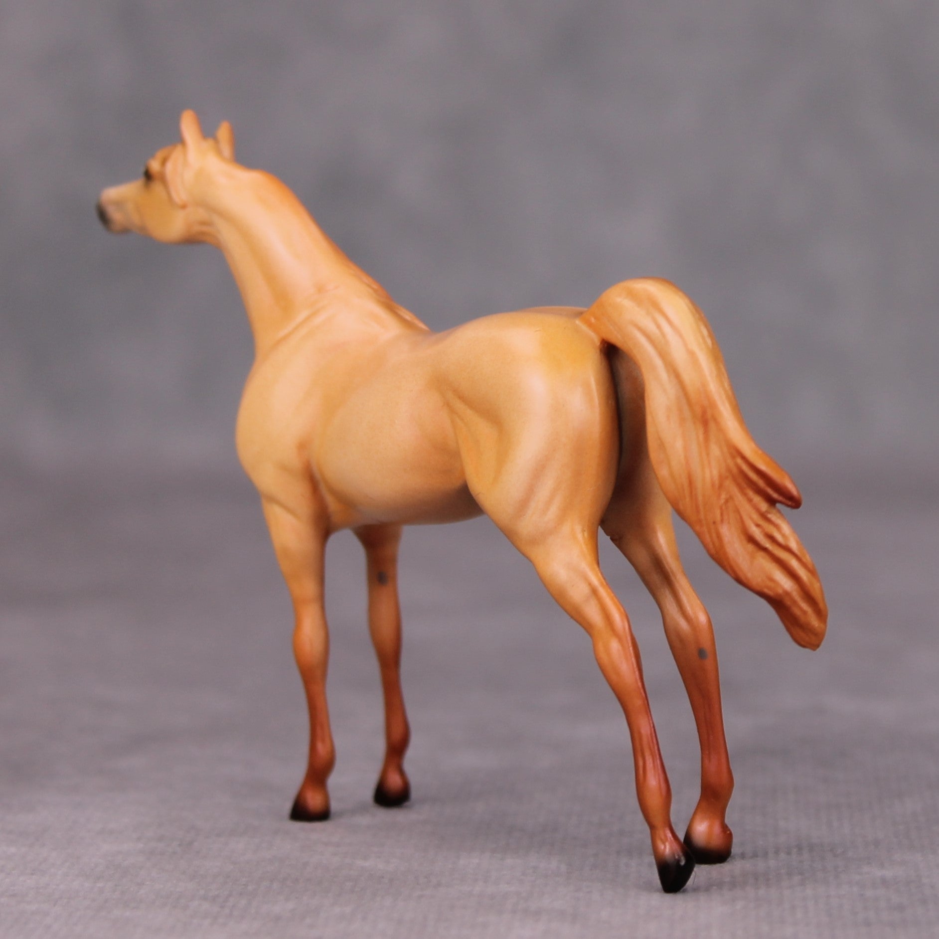 Vince OOAK Red Dun Arabian Chip By Ellen Robbins MM24