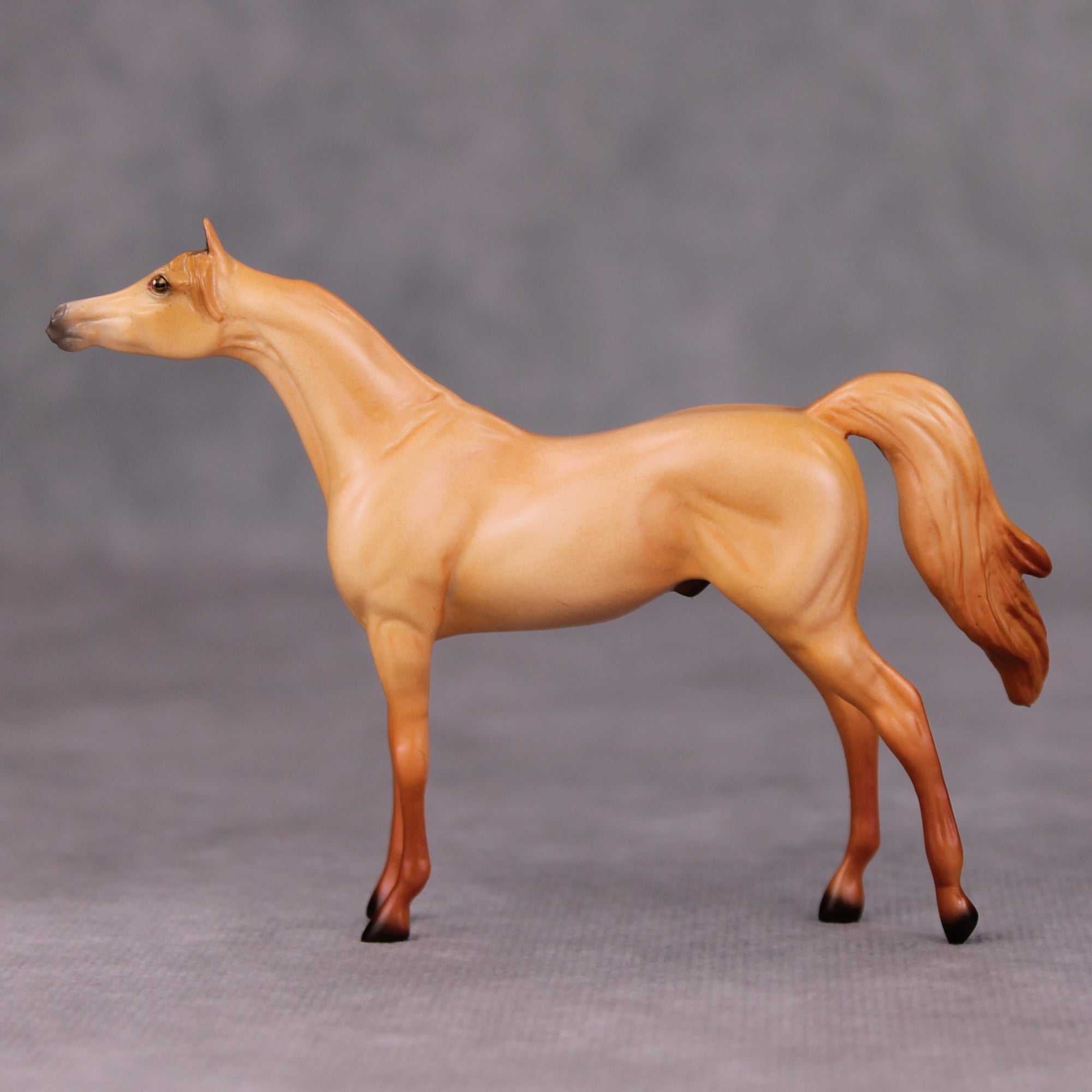 Vince OOAK Red Dun Arabian Chip By Ellen Robbins MM24