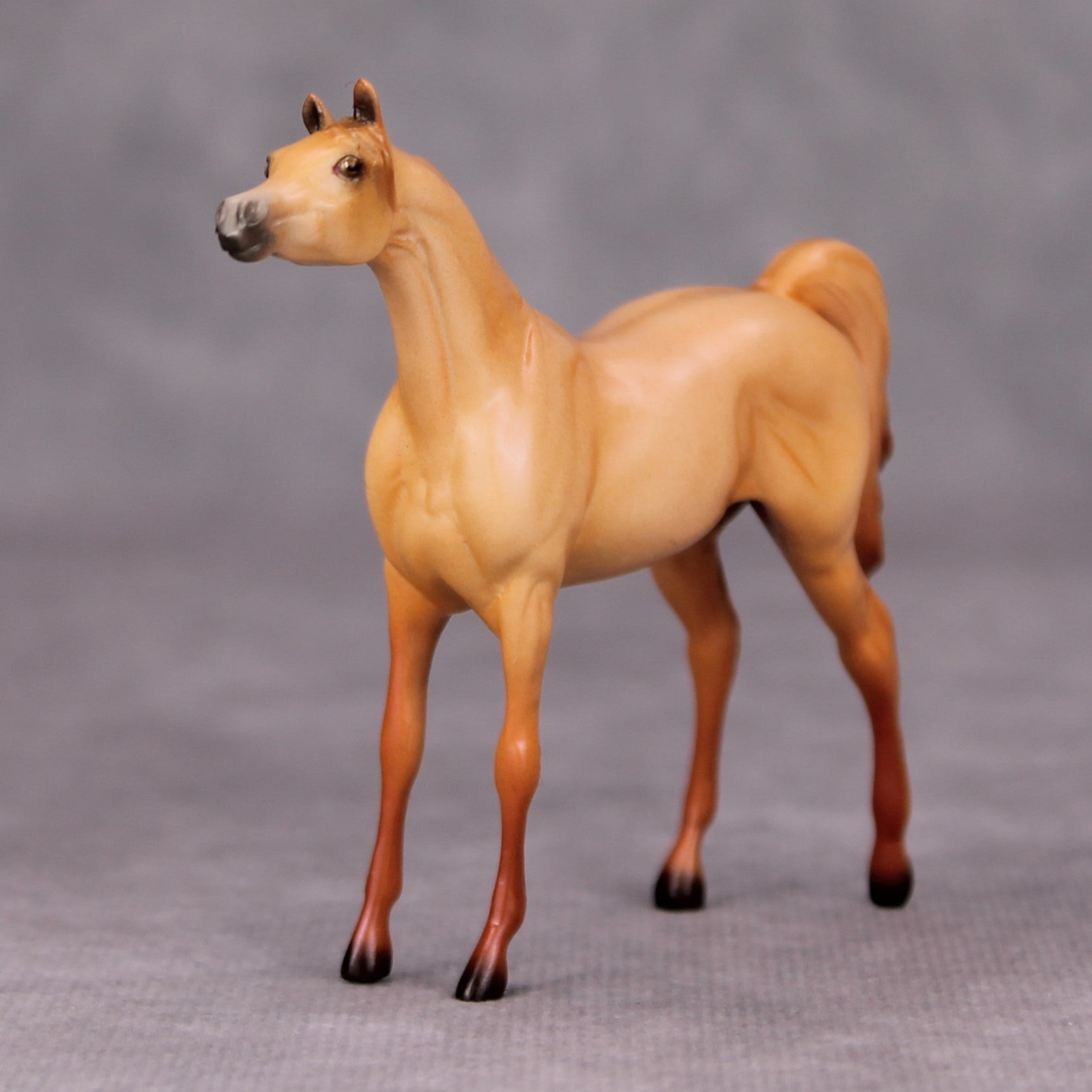 Vince OOAK Red Dun Arabian Chip By Ellen Robbins MM24