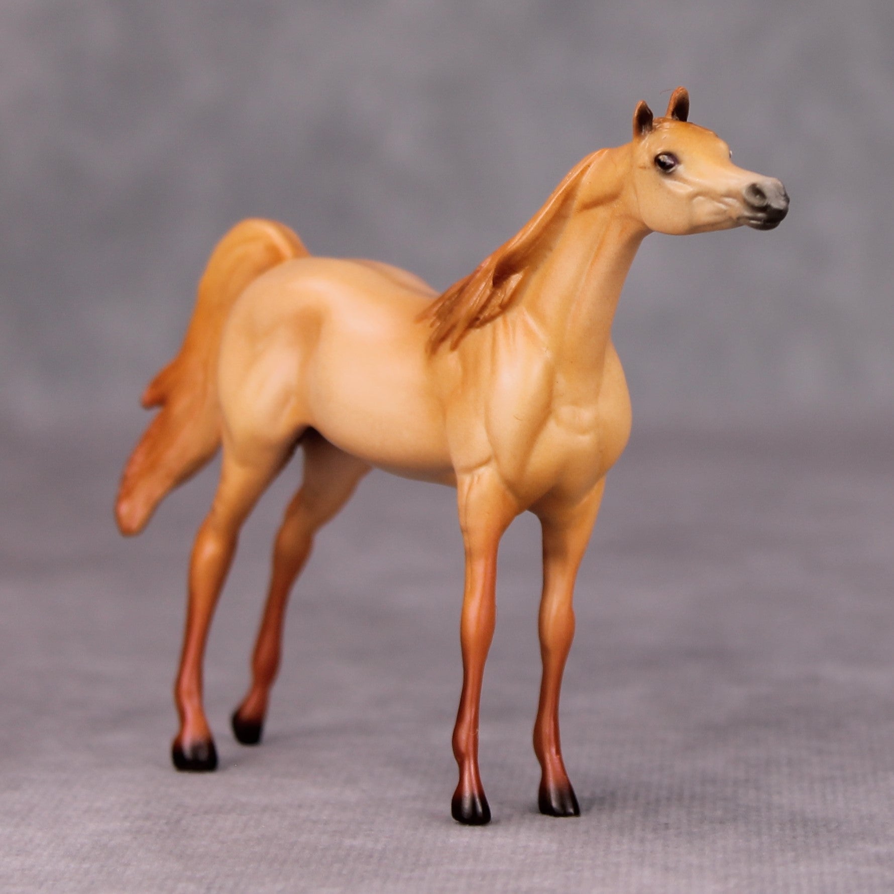 Vince OOAK Red Dun Arabian Chip By Ellen Robbins MM24
