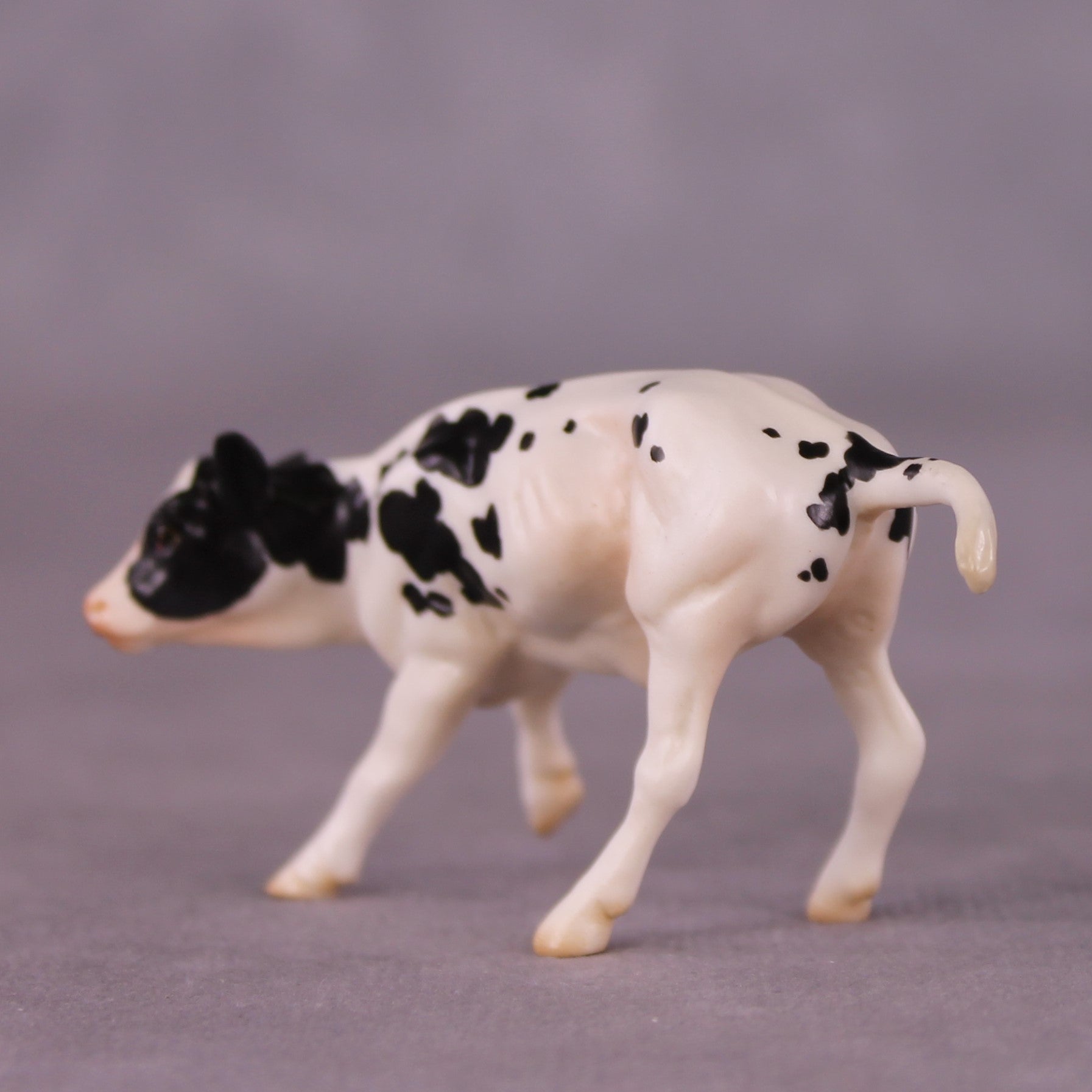 "Ol' Bessie" OOAK Calf Chip By Jess Hamill - Menagerie Series
