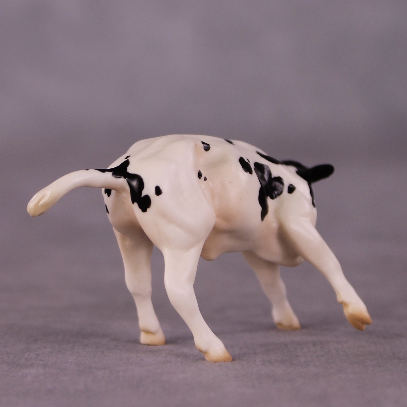 "Ol' Bessie" OOAK Calf Chip By Jess Hamill - Menagerie Series