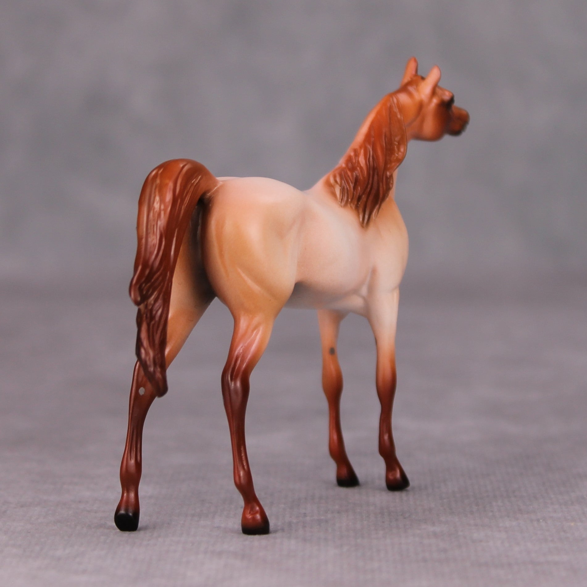 Barry OOAK Strawberry Roan Arabian Chip By Ellen Robbins MM24