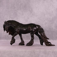 Phisherman LE-10 EFCM Irish Cob by Anna Rieck MM25