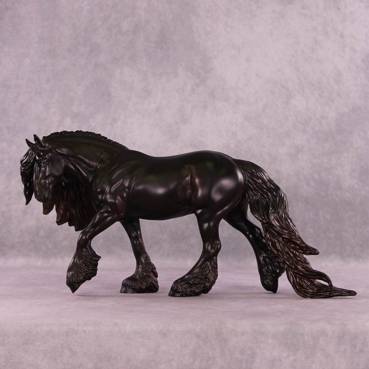 Phisherman LE-10 EFCM Irish Cob by Anna Rieck MM25