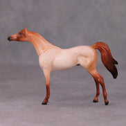 Barry OOAK Strawberry Roan Arabian Chip By Ellen Robbins MM24