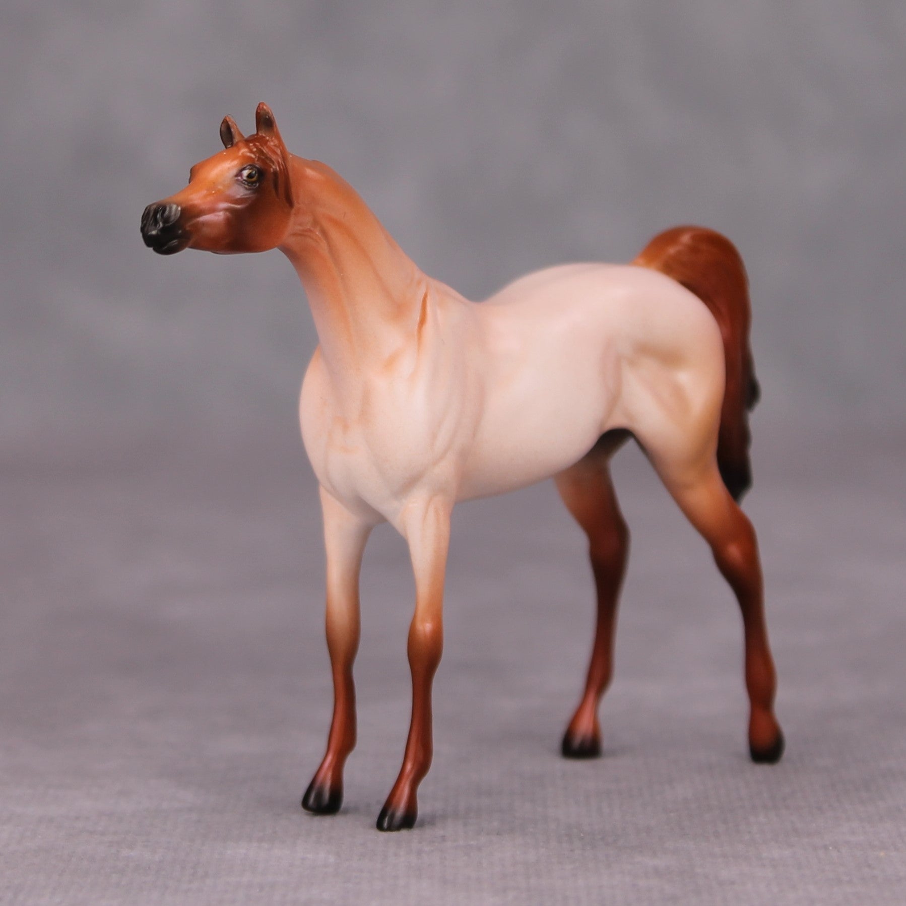 Barry OOAK Strawberry Roan Arabian Chip By Ellen Robbins MM24