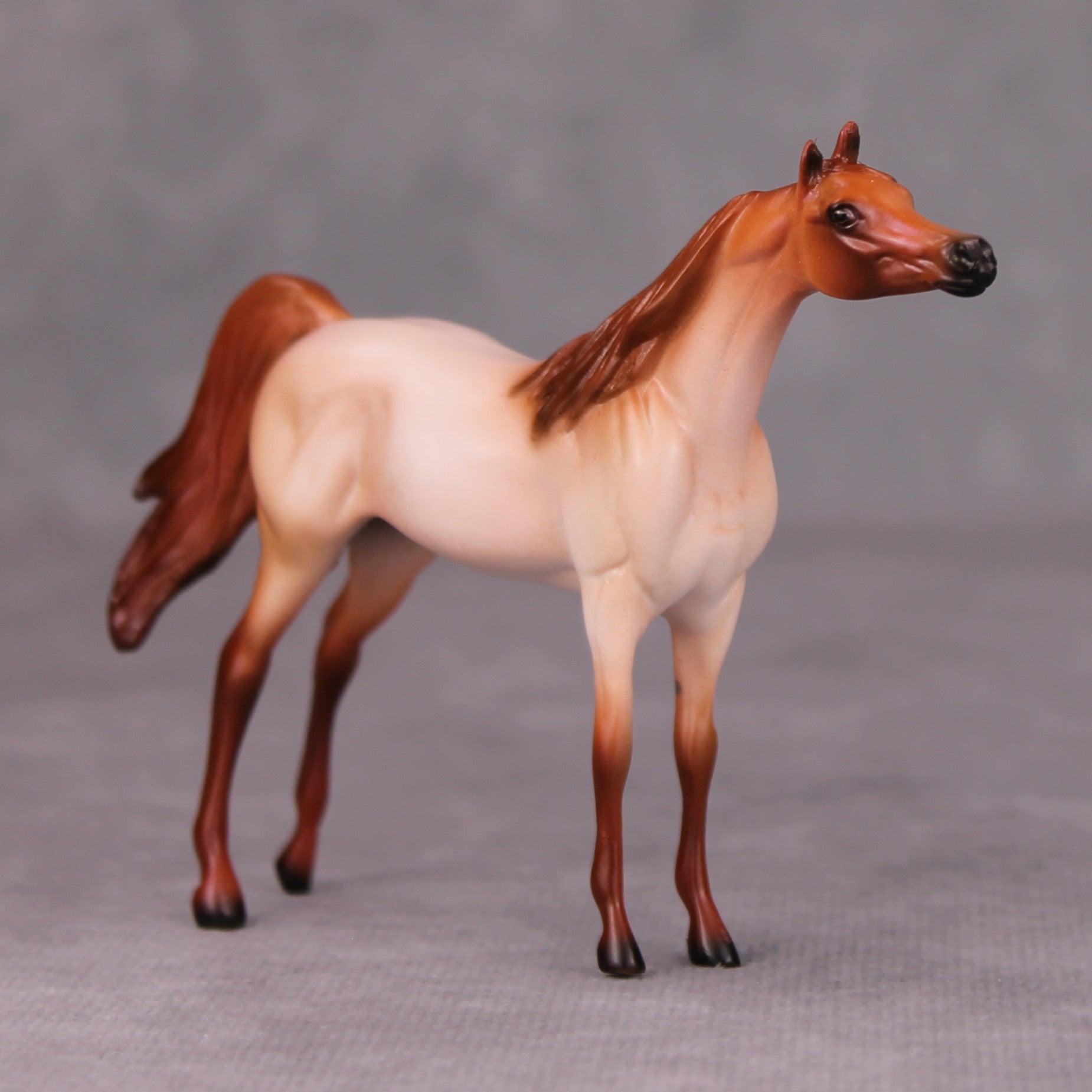 Barry OOAK Strawberry Roan Arabian Chip By Ellen Robbins MM24