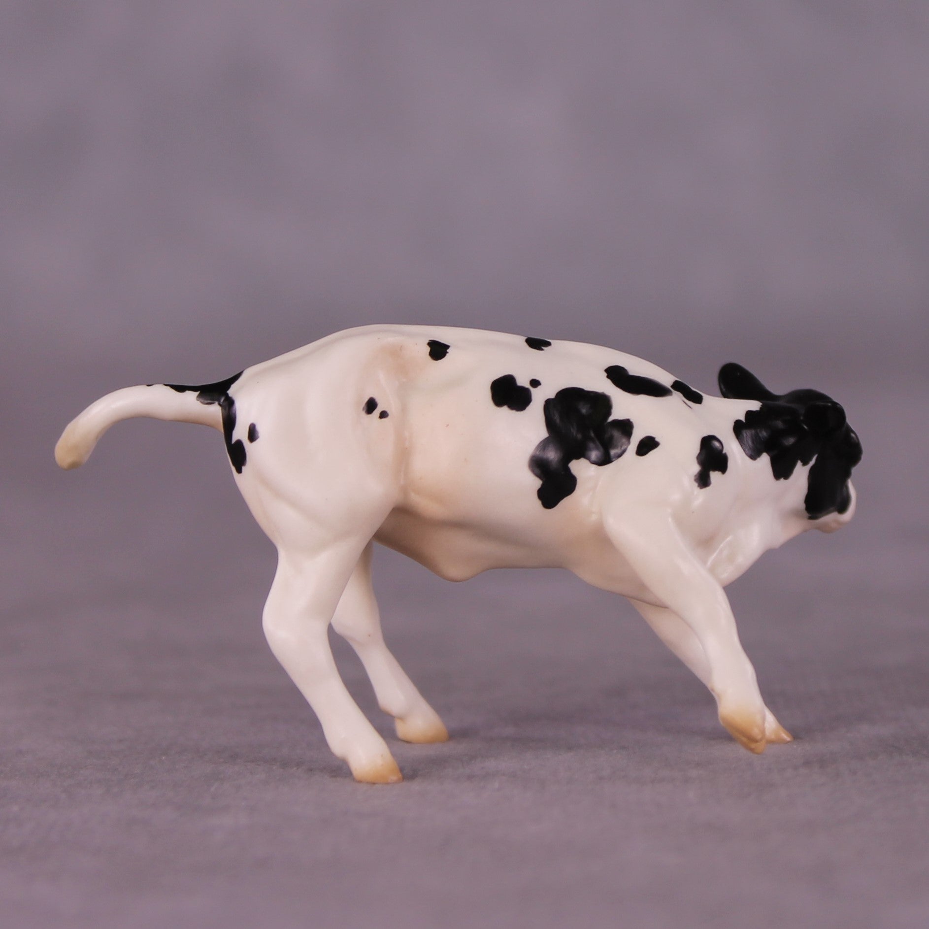 "Ol' Bessie" OOAK Calf Chip By Jess Hamill - Menagerie Series