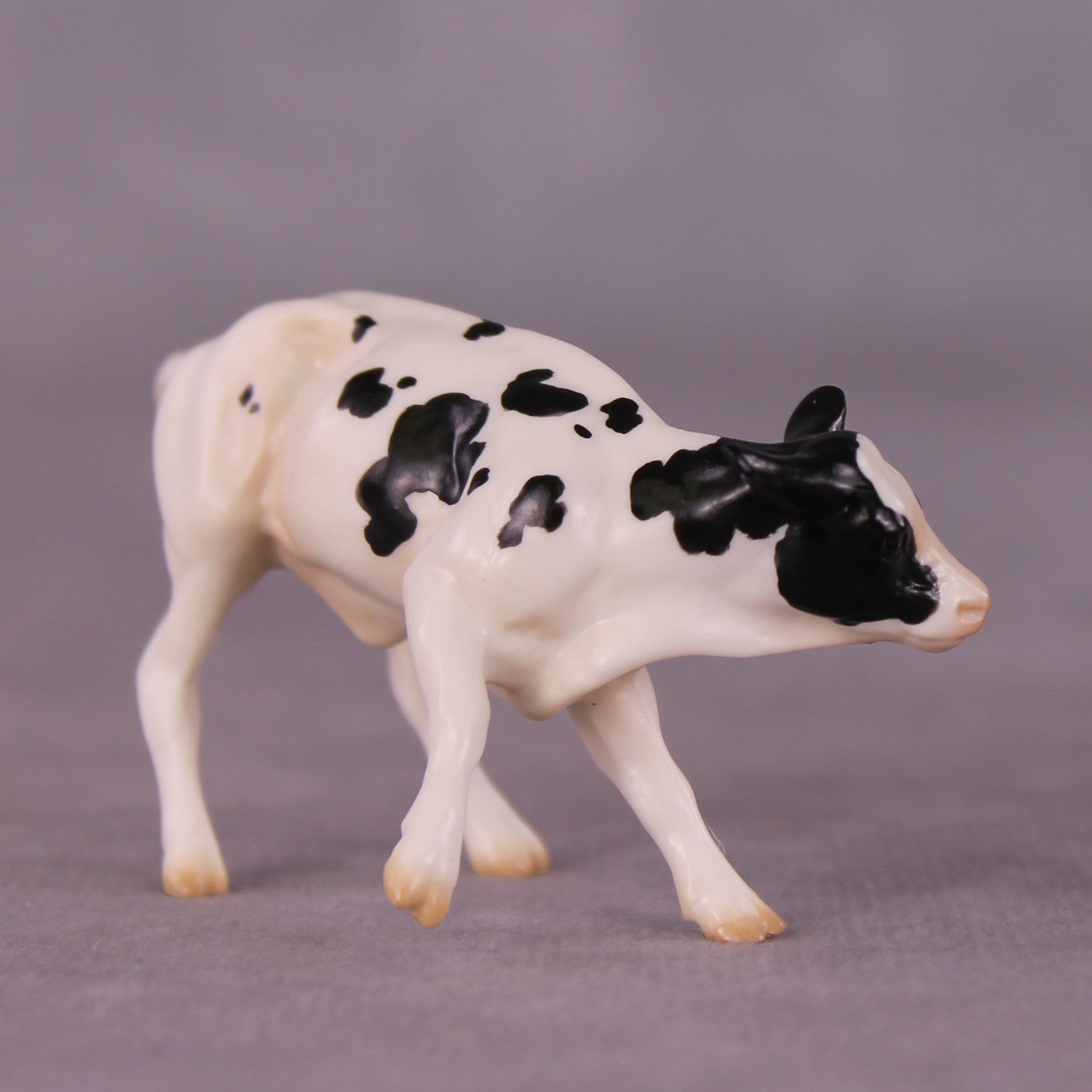 "Ol' Bessie" OOAK Calf Chip By Jess Hamill - Menagerie Series