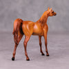 Felix OOAK Chestnut Arabian Chip By Ellen Robbins MM24