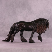 Phisherman LE-10 EFCM Irish Cob by Anna Rieck MM25