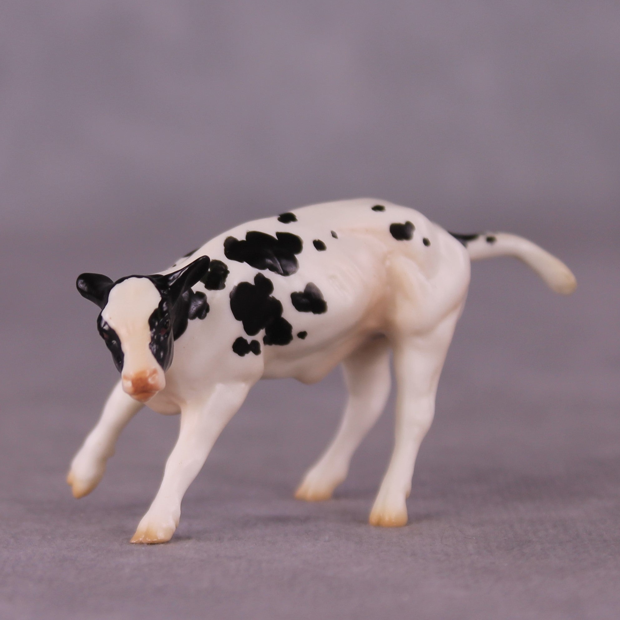 "Ol' Bessie" OOAK Calf Chip By Jess Hamill - Menagerie Series