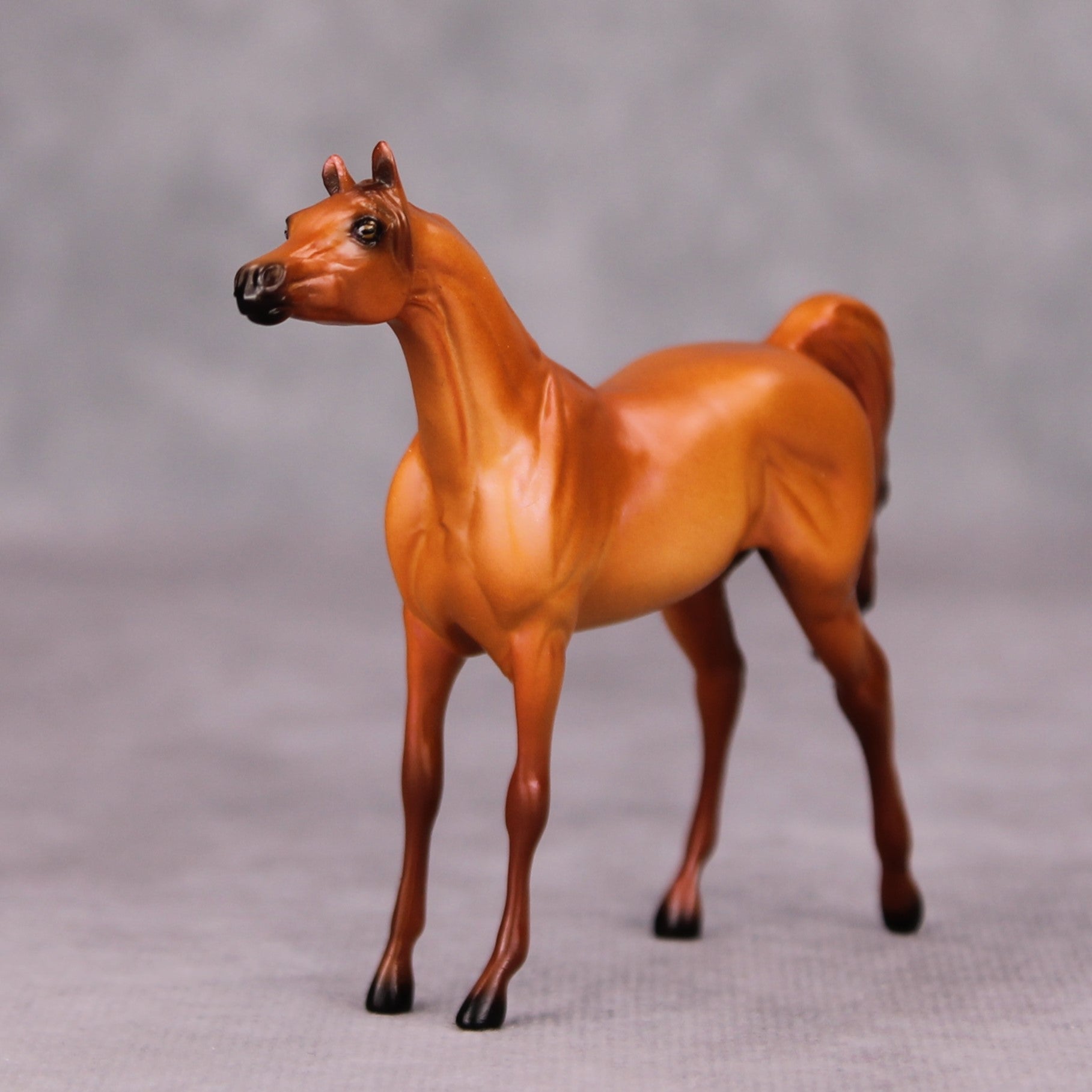 Felix OOAK Chestnut Arabian Chip By Ellen Robbins MM24