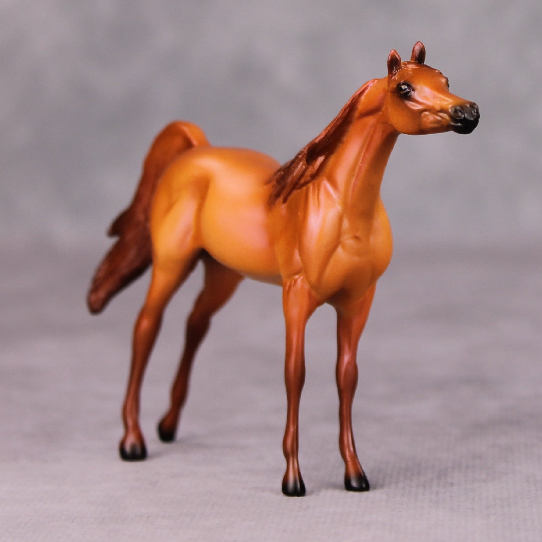 Felix OOAK Chestnut Arabian Chip By Ellen Robbins MM24