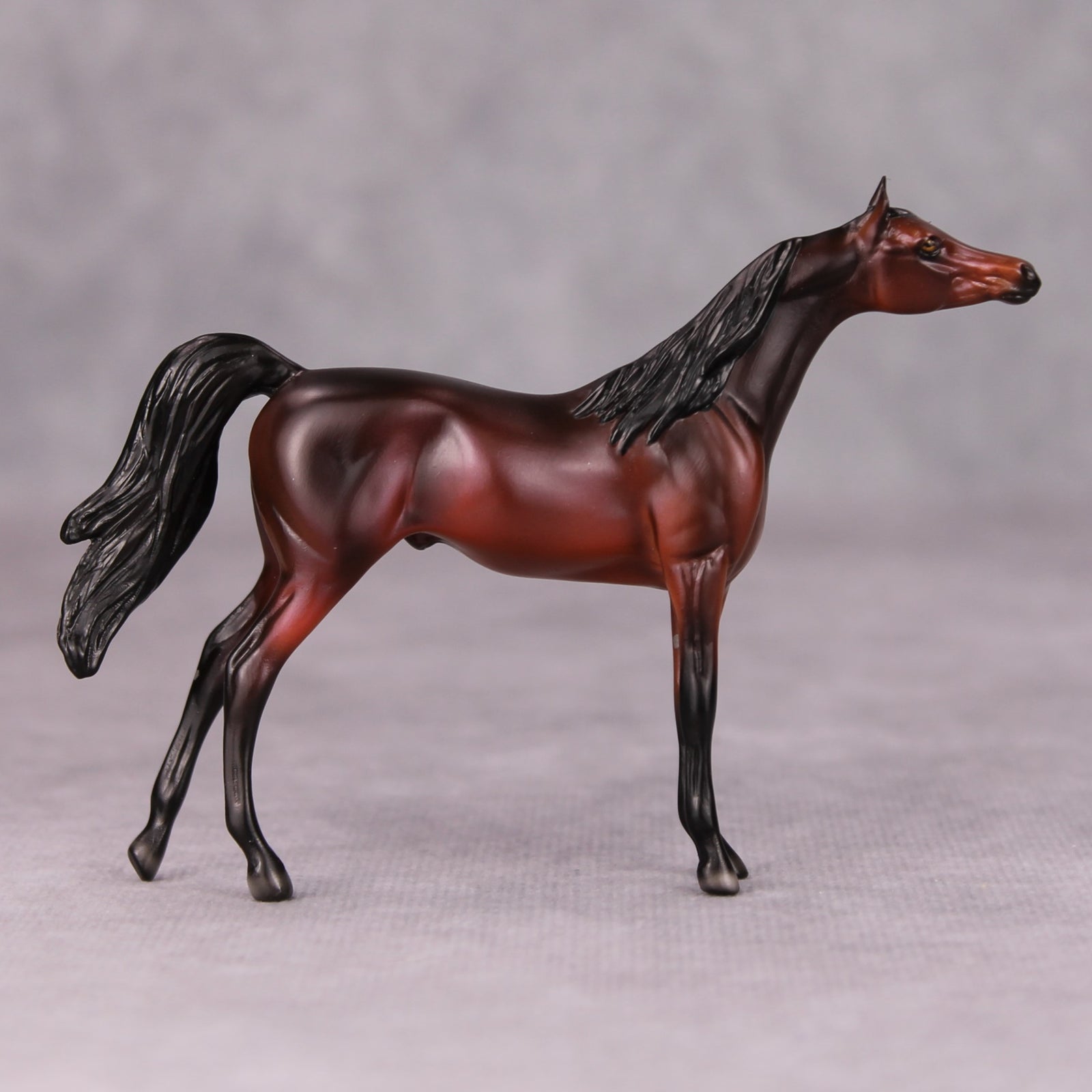Sam OOAK Dark Bay Arabian Chip By Ellen Robbins MM24