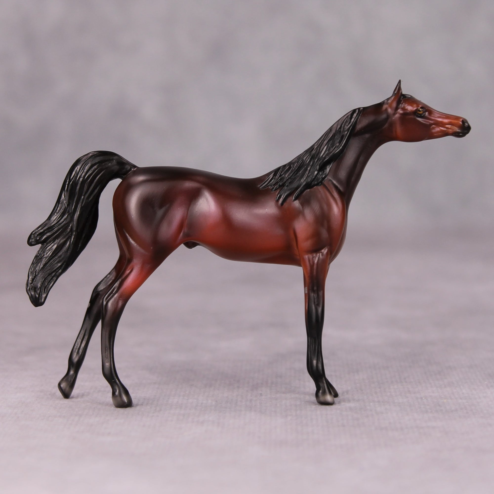 Sam OOAK Dark Bay Arabian Chip By Ellen Robbins MM24