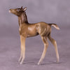 &quot;Peter Cottontail&quot; OOAK Foal Chip By Jess Hamill - Menagerie Series