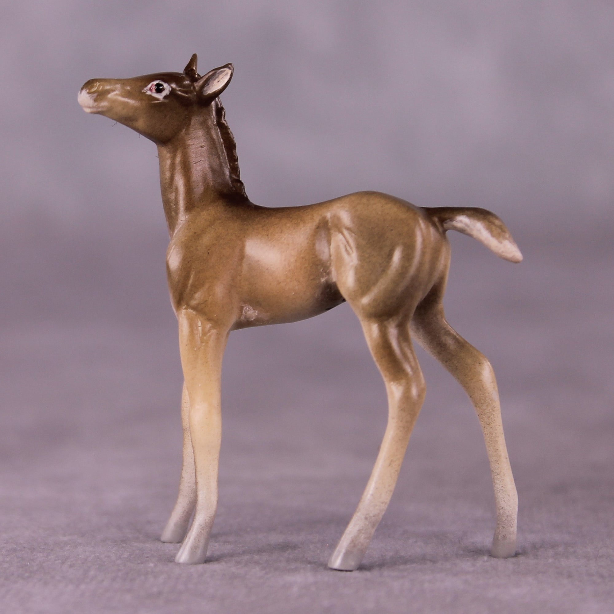 "Peter Cottontail" OOAK Foal Chip By Jess Hamill - Menagerie Series