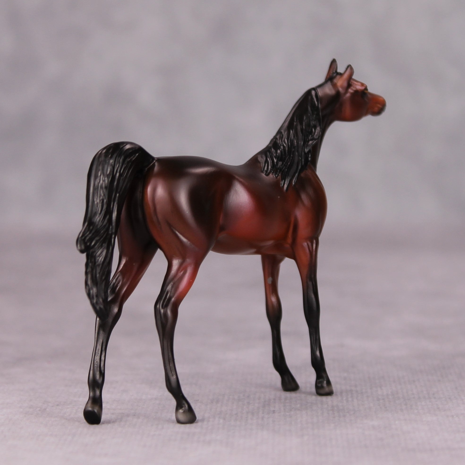 Sam OOAK Dark Bay Arabian Chip By Ellen Robbins MM24