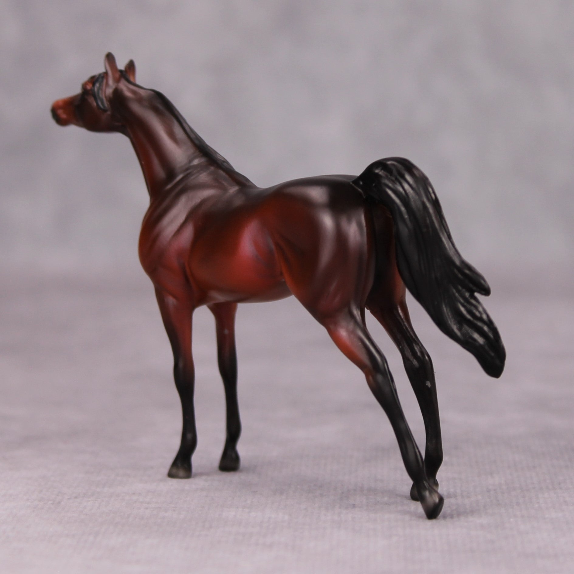 Sam OOAK Dark Bay Arabian Chip By Ellen Robbins MM24