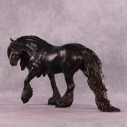 Phisherman LE-10 EFCM Irish Cob by Anna Rieck MM25