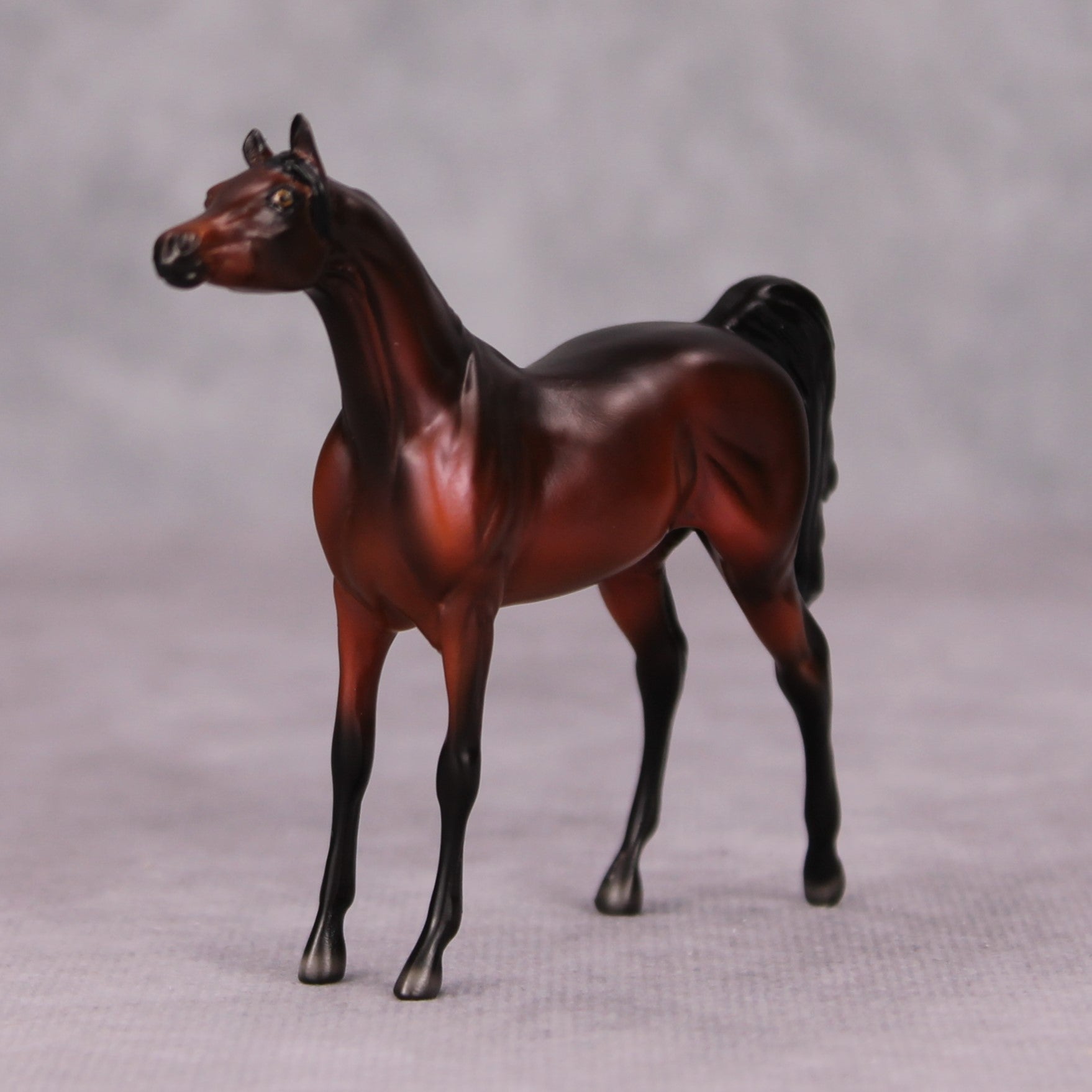 Sam OOAK Dark Bay Arabian Chip By Ellen Robbins MM24