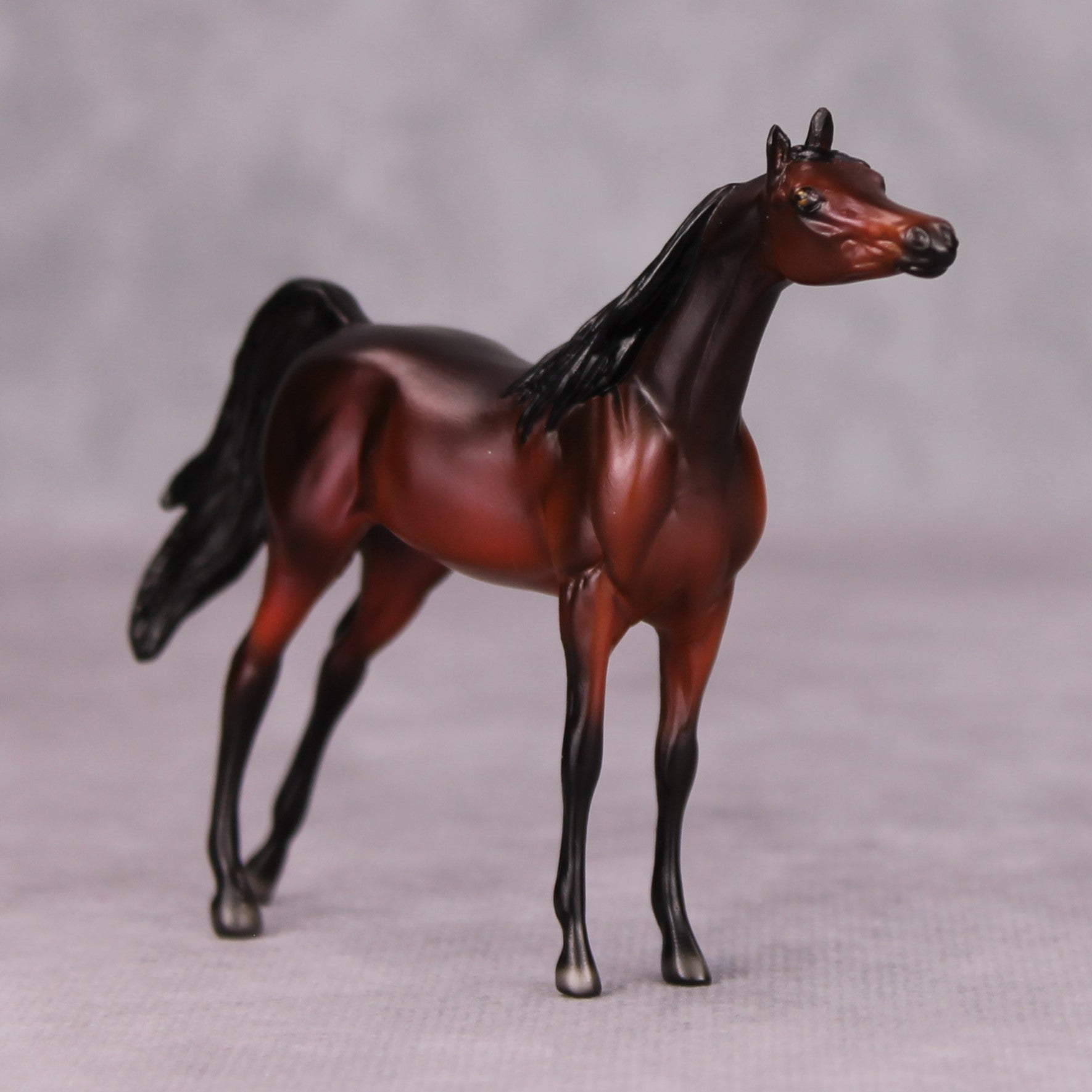 Sam OOAK Dark Bay Arabian Chip By Ellen Robbins MM24