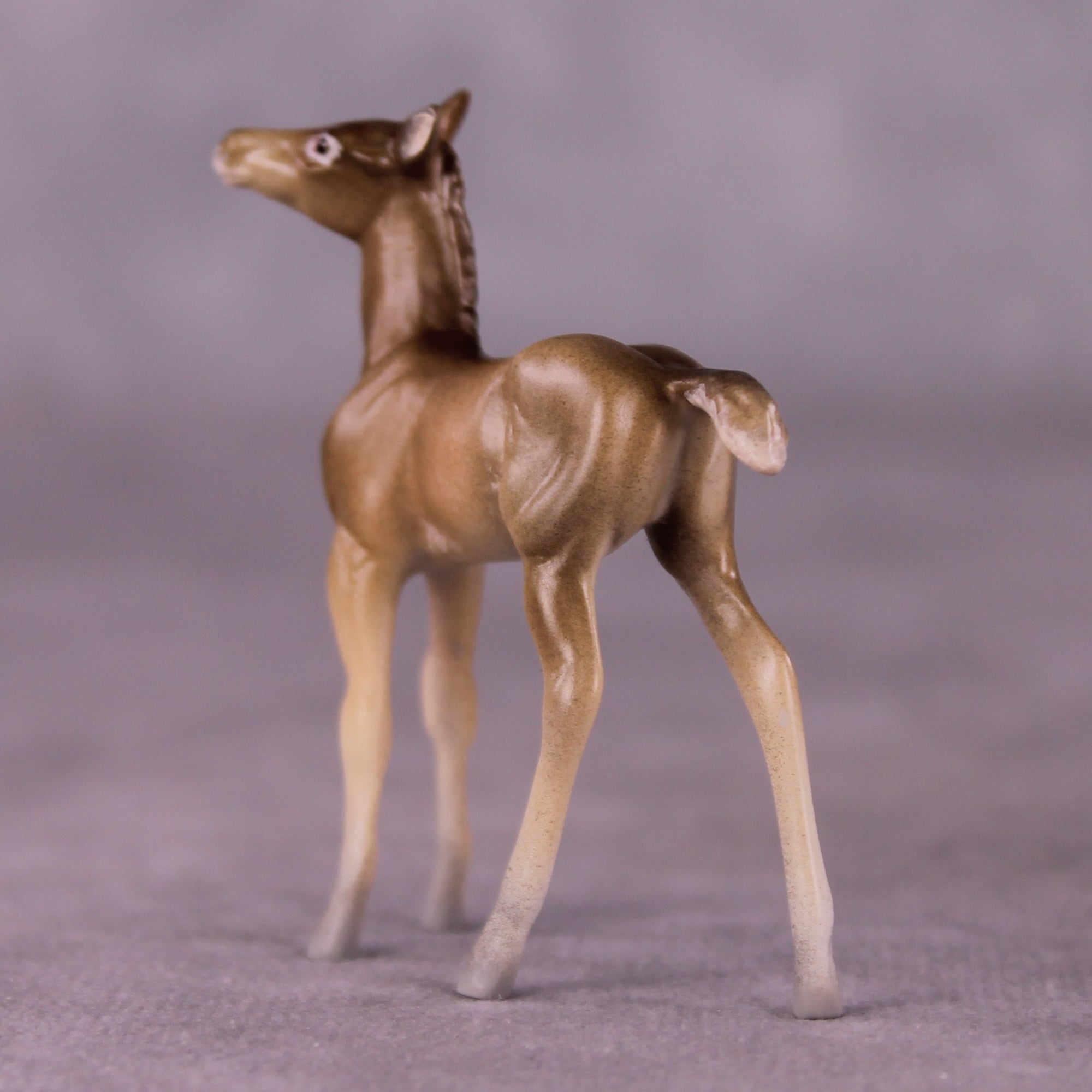 "Peter Cottontail" OOAK Foal Chip By Jess Hamill - Menagerie Series