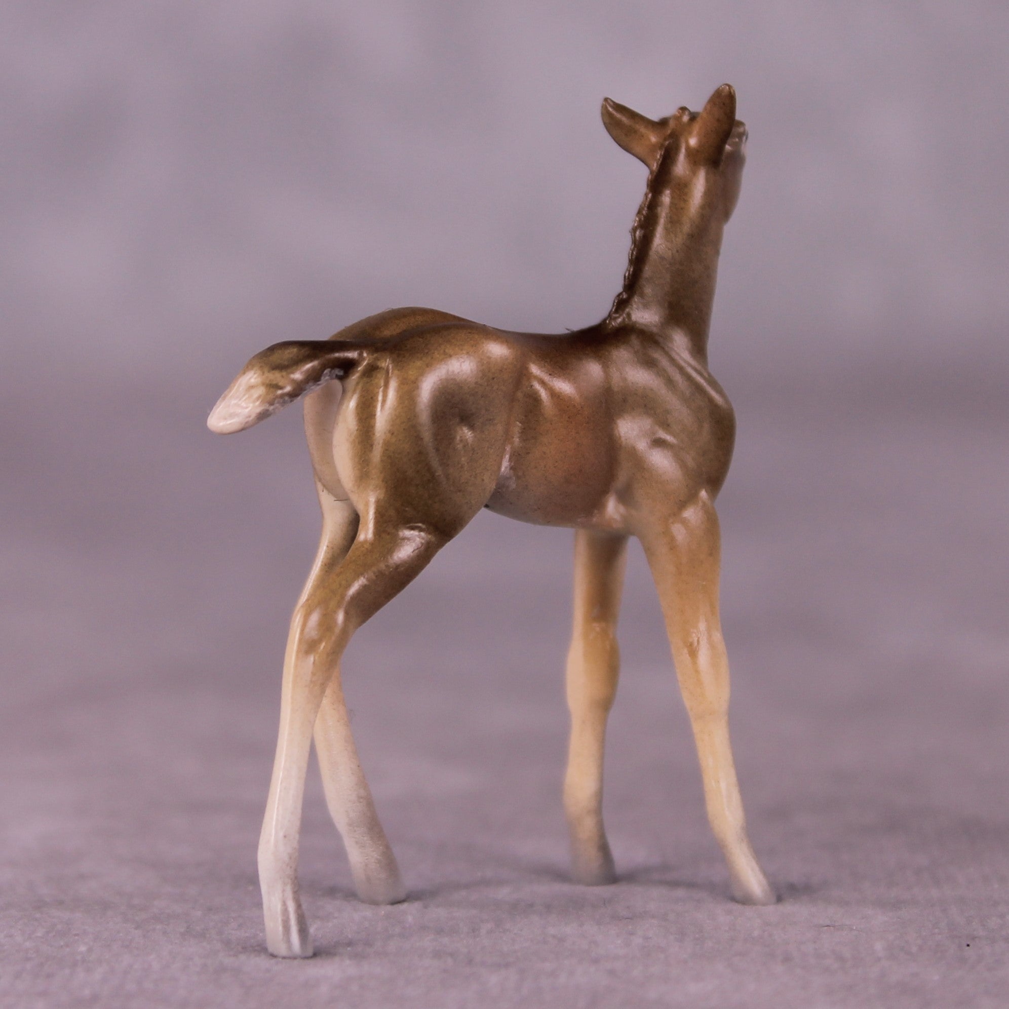 "Peter Cottontail" OOAK Foal Chip By Jess Hamill - Menagerie Series