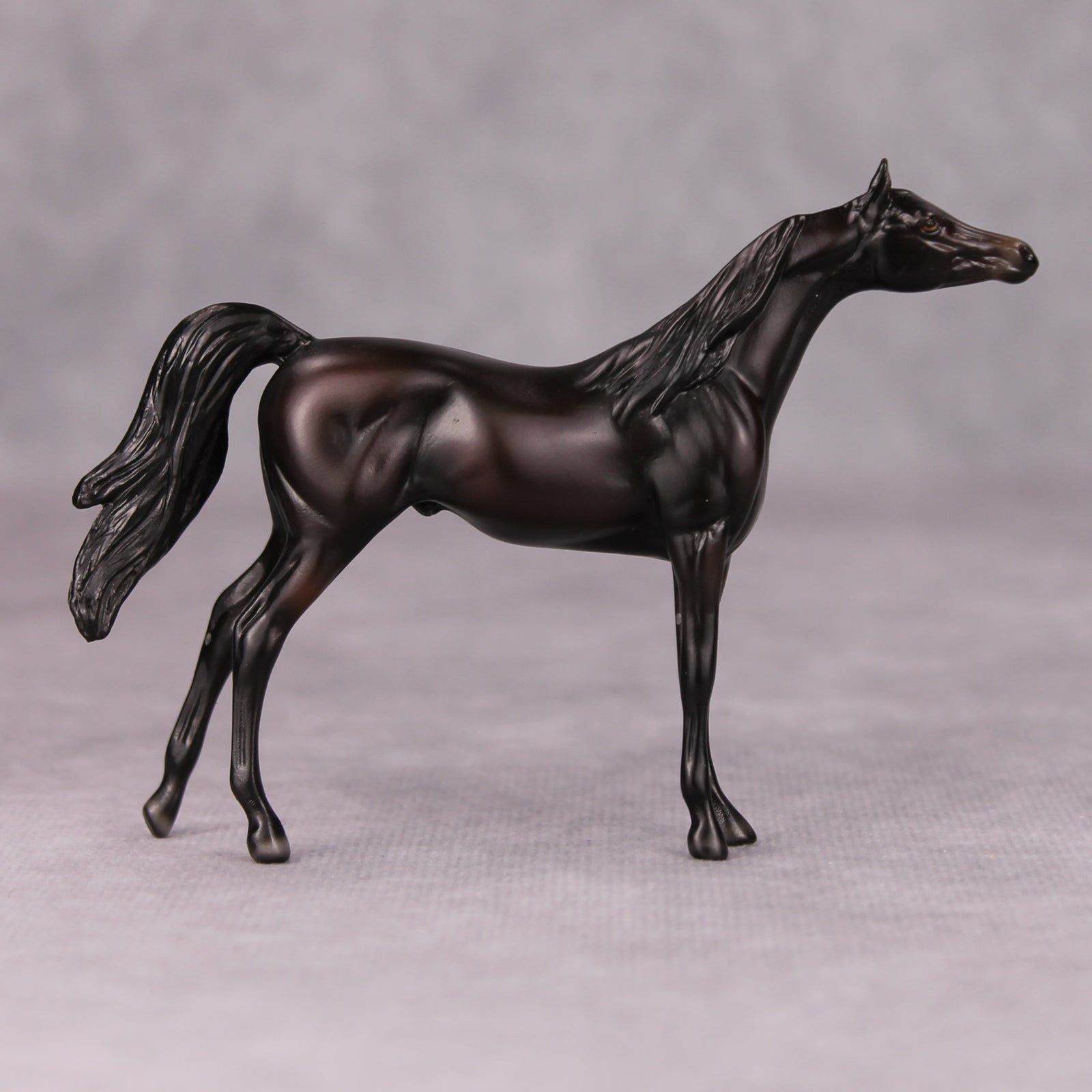 Dylan OOAK Shaded Black Arabian Chip By Ellen Robbins MM24