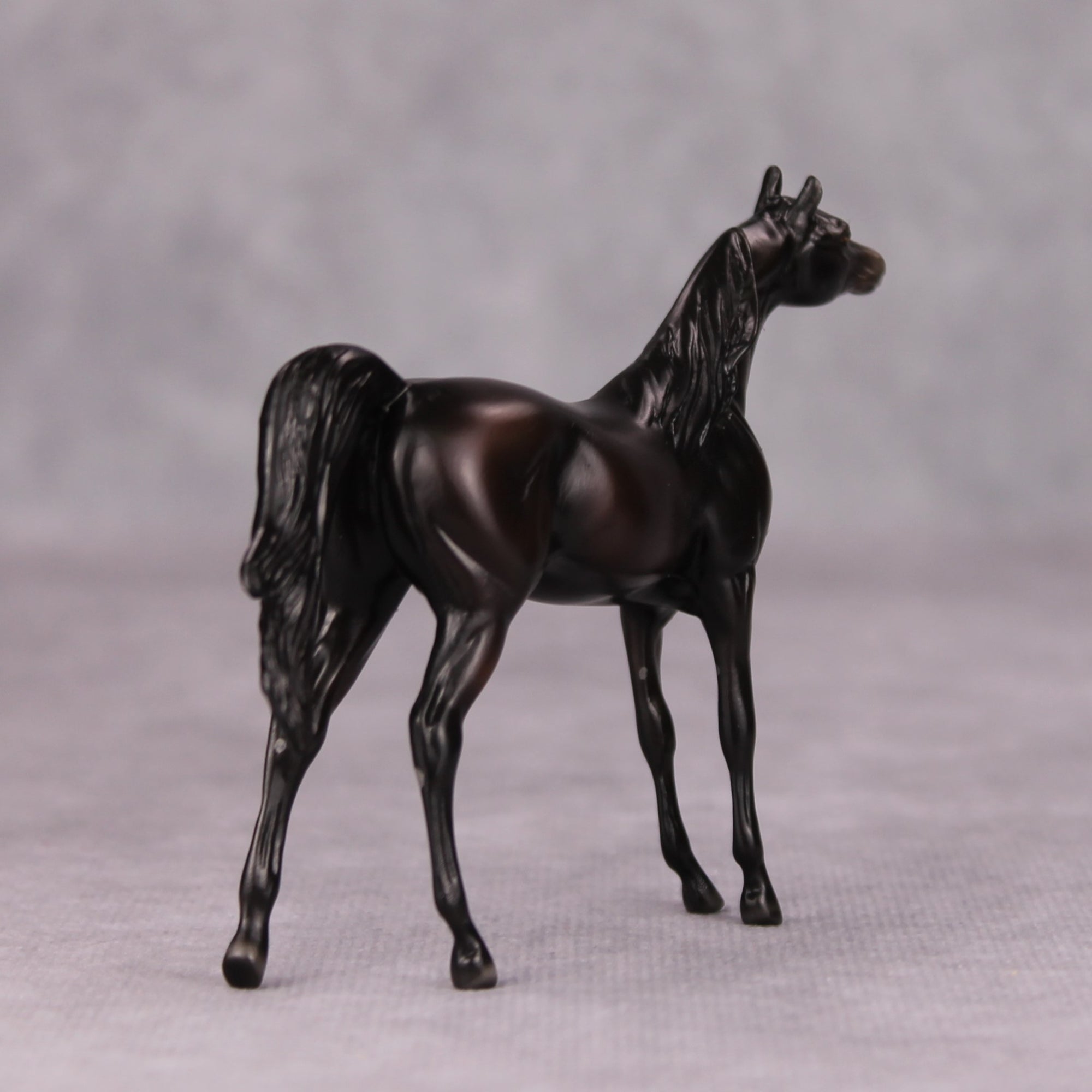 Dylan OOAK Shaded Black Arabian Chip By Ellen Robbins MM24