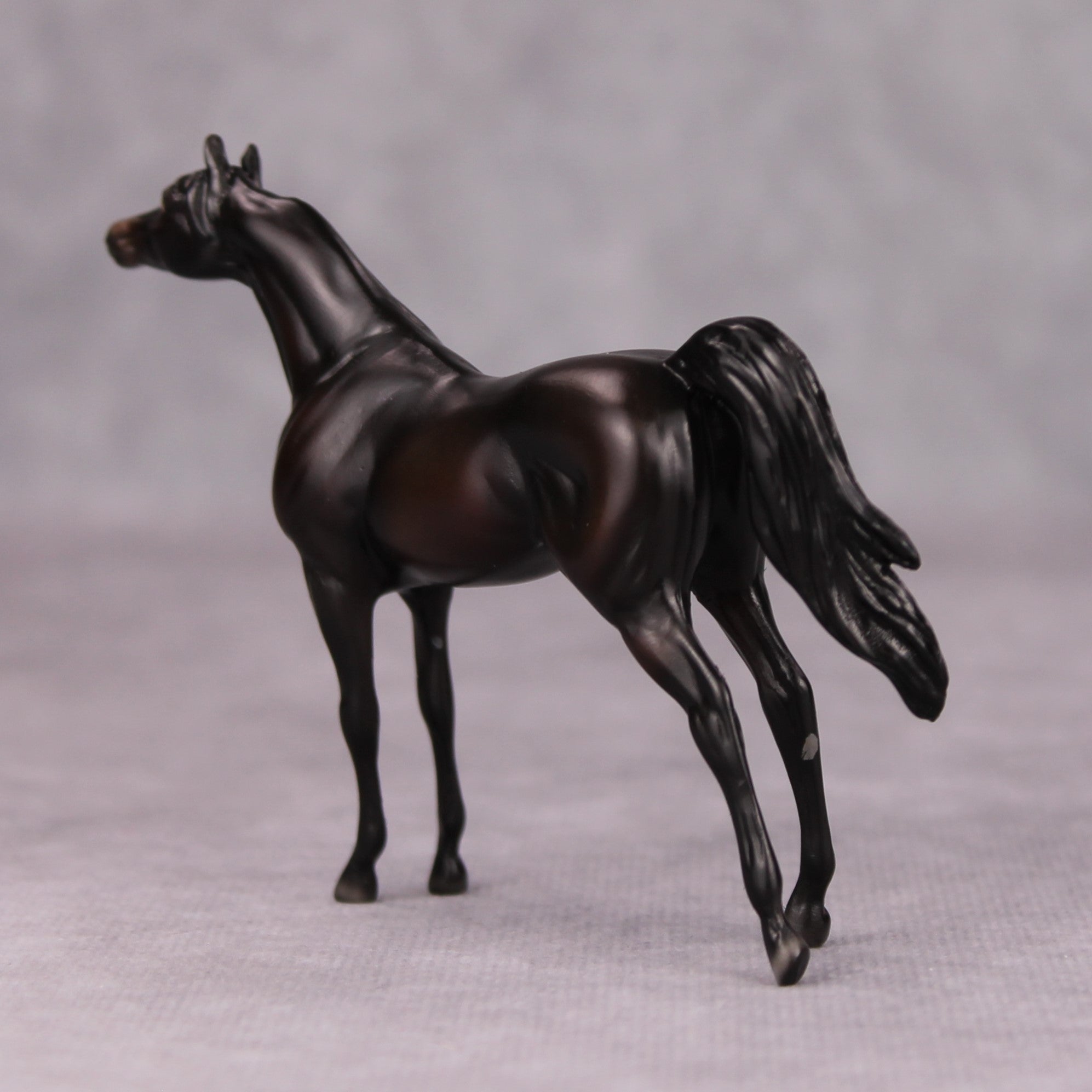 Dylan OOAK Shaded Black Arabian Chip By Ellen Robbins MM24